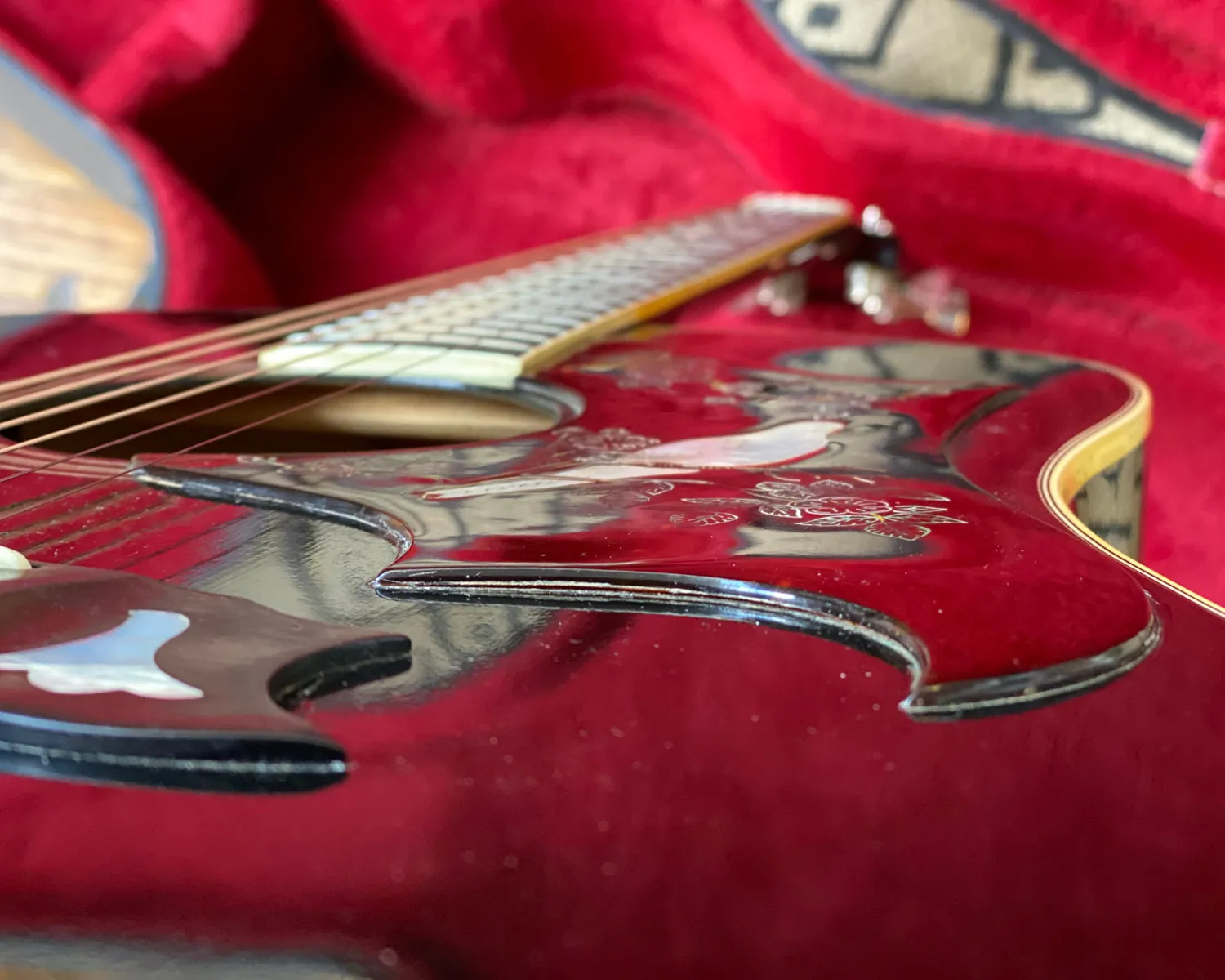 1977 Gibson Dove Custom - Ebony w/ OHSC & Paperwork 🕊️