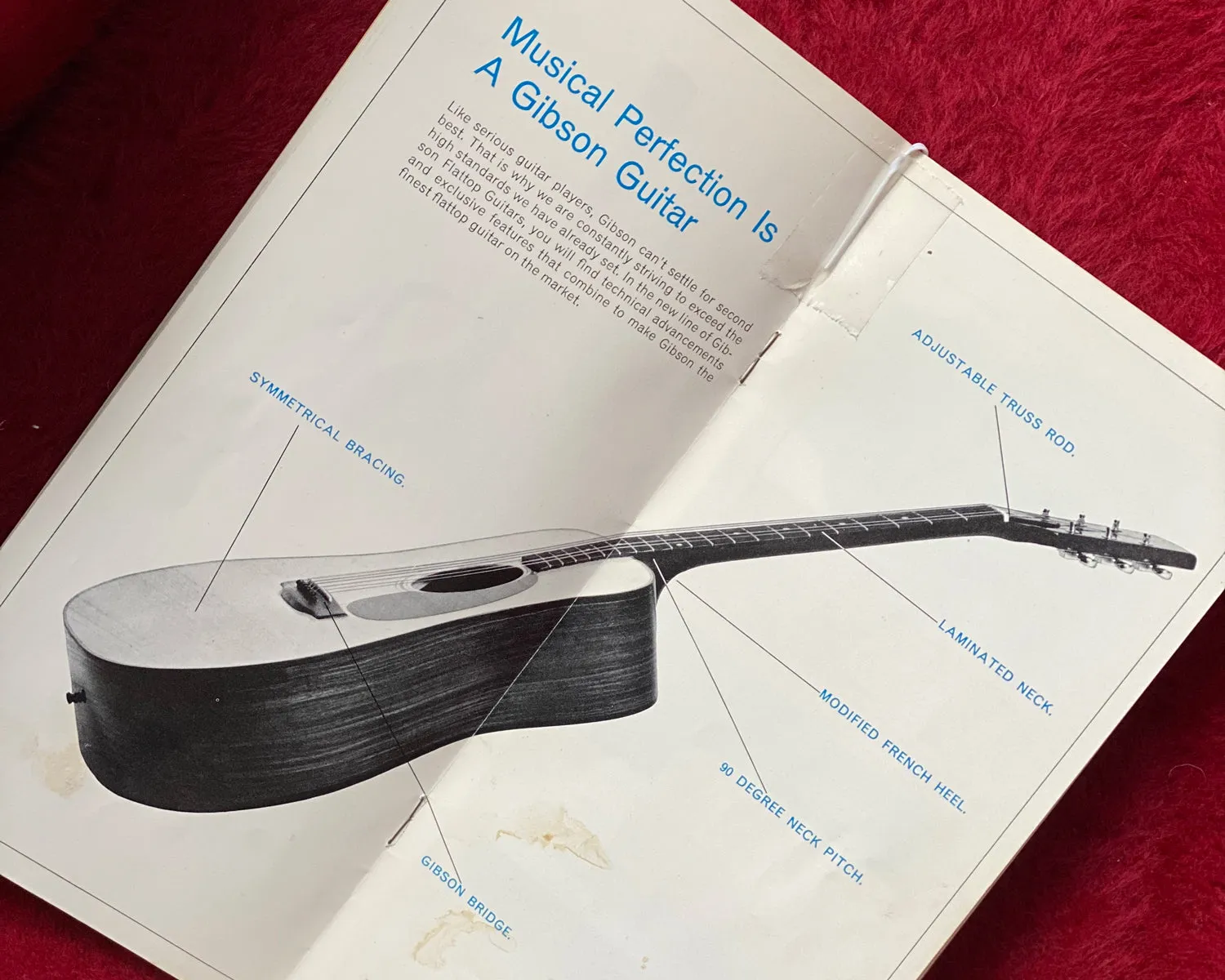 1977 Gibson Dove Custom - Ebony w/ OHSC & Paperwork 🕊️