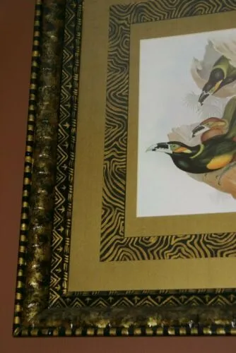 25,5"X 20,5” 1948 GOULD  TOUCANET  BIRD FOLIO LITHOGRAPH FRAMED IN SIGNED DETAILED ARTIST HAND PAINTED FRAME AND 2 MATS TO ENHANCE THE ART WITHIN GORGEOUS DFPN88 DESIGNER WALL ART DÉCOR