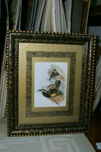 25,5"X 20,5” 1948 GOULD  TOUCANET  BIRD FOLIO LITHOGRAPH FRAMED IN SIGNED DETAILED ARTIST HAND PAINTED FRAME AND 2 MATS TO ENHANCE THE ART WITHIN GORGEOUS DFPN88 DESIGNER WALL ART DÉCOR