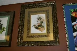 25,5"X 20,5” 1948 GOULD  TOUCANET  BIRD FOLIO LITHOGRAPH FRAMED IN SIGNED DETAILED ARTIST HAND PAINTED FRAME AND 2 MATS TO ENHANCE THE ART WITHIN GORGEOUS DFPN88 DESIGNER WALL ART DÉCOR