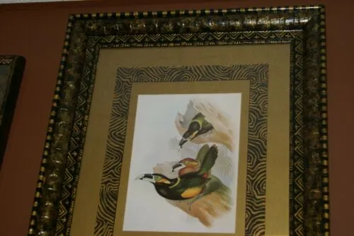 25,5"X 20,5” 1948 GOULD  TOUCANET  BIRD FOLIO LITHOGRAPH FRAMED IN SIGNED DETAILED ARTIST HAND PAINTED FRAME AND 2 MATS TO ENHANCE THE ART WITHIN GORGEOUS DFPN88 DESIGNER WALL ART DÉCOR
