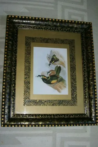 25,5"X 20,5” 1948 GOULD  TOUCANET  BIRD FOLIO LITHOGRAPH FRAMED IN SIGNED DETAILED ARTIST HAND PAINTED FRAME AND 2 MATS TO ENHANCE THE ART WITHIN GORGEOUS DFPN88 DESIGNER WALL ART DÉCOR