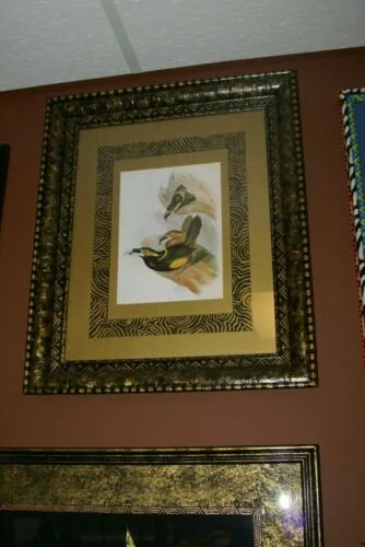 25,5"X 20,5” 1948 GOULD  TOUCANET  BIRD FOLIO LITHOGRAPH FRAMED IN SIGNED DETAILED ARTIST HAND PAINTED FRAME AND 2 MATS TO ENHANCE THE ART WITHIN GORGEOUS DFPN88 DESIGNER WALL ART DÉCOR