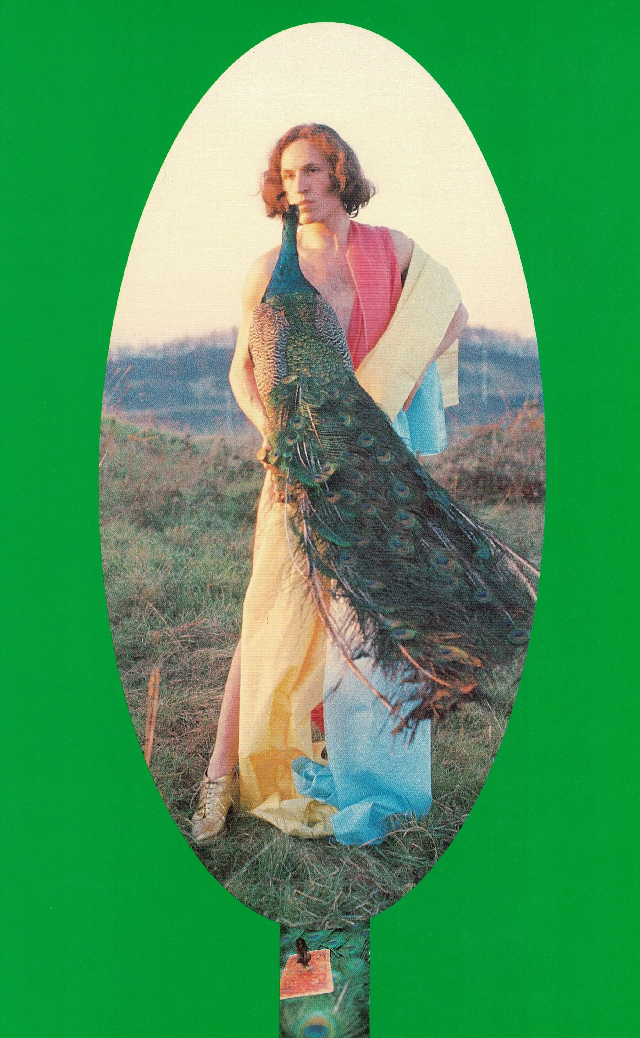 Alnus Aurea by Luigi Ontani