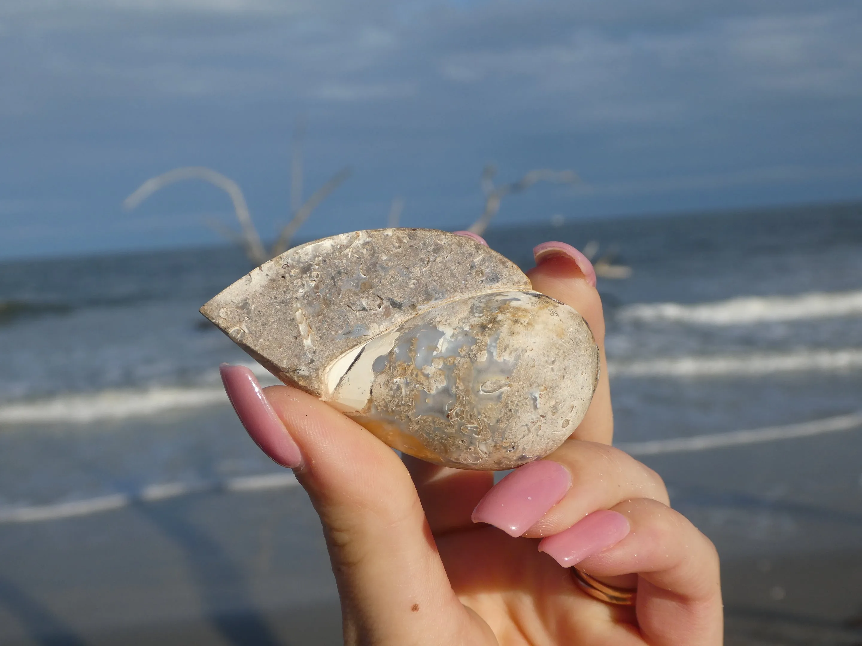Aura Druzy Shell (#13)