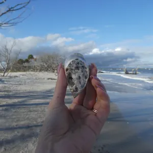Aura Druzy Shell (#13)