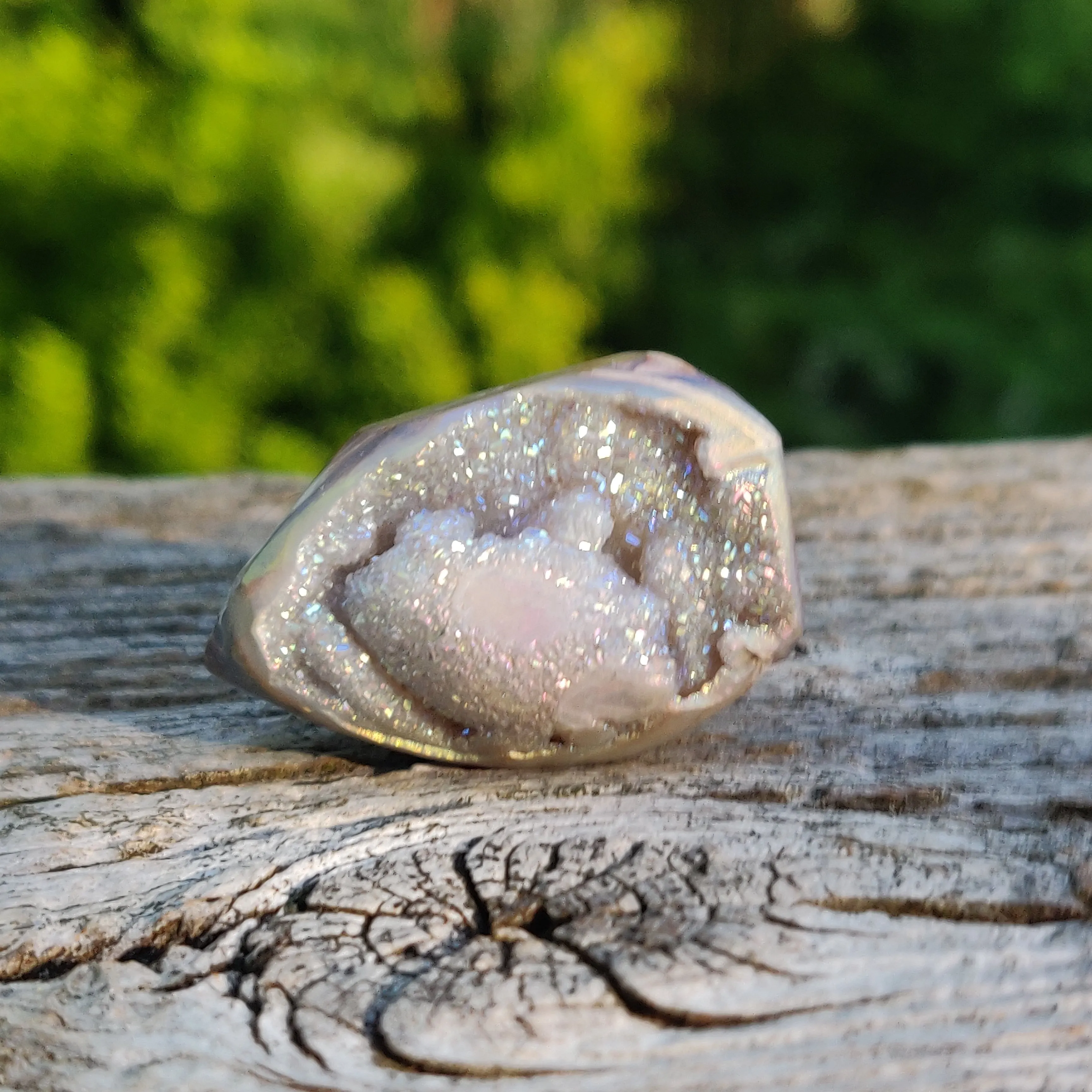 Aura Druzy Shell (#15)