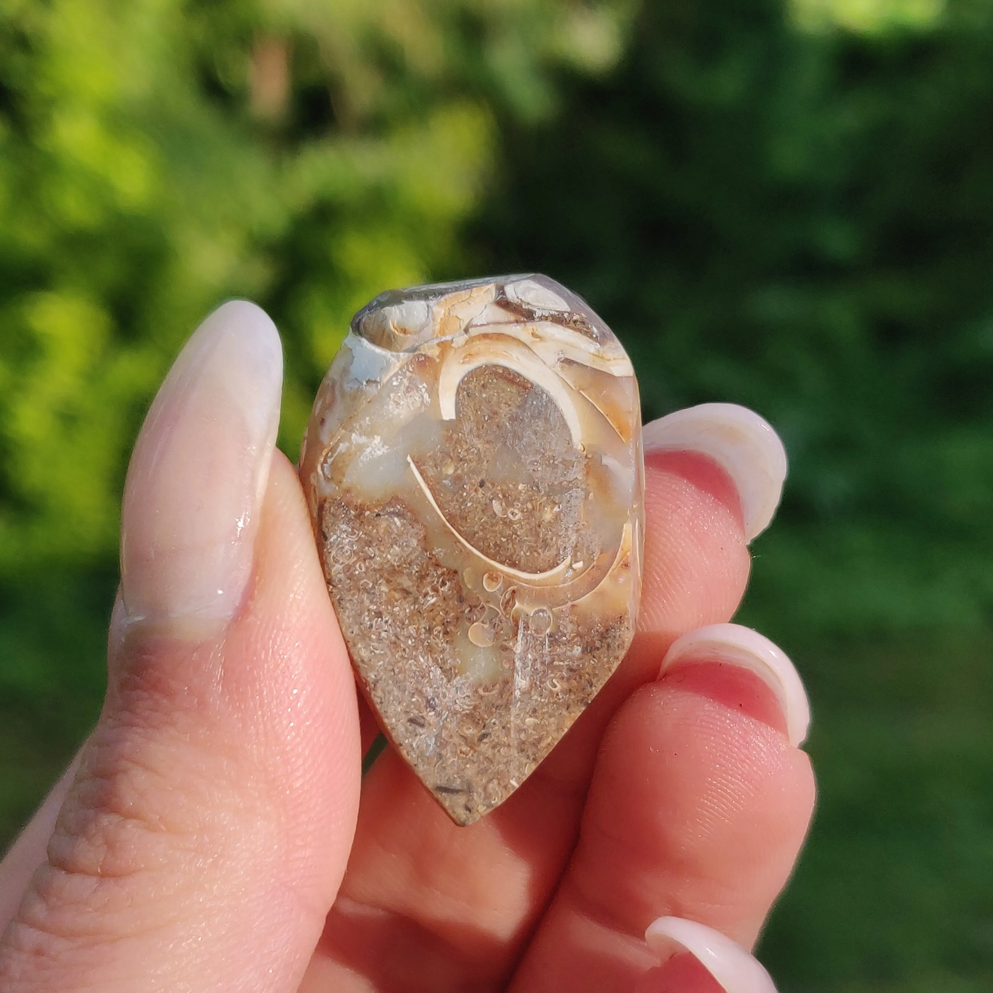 Aura Druzy Shell (#15)