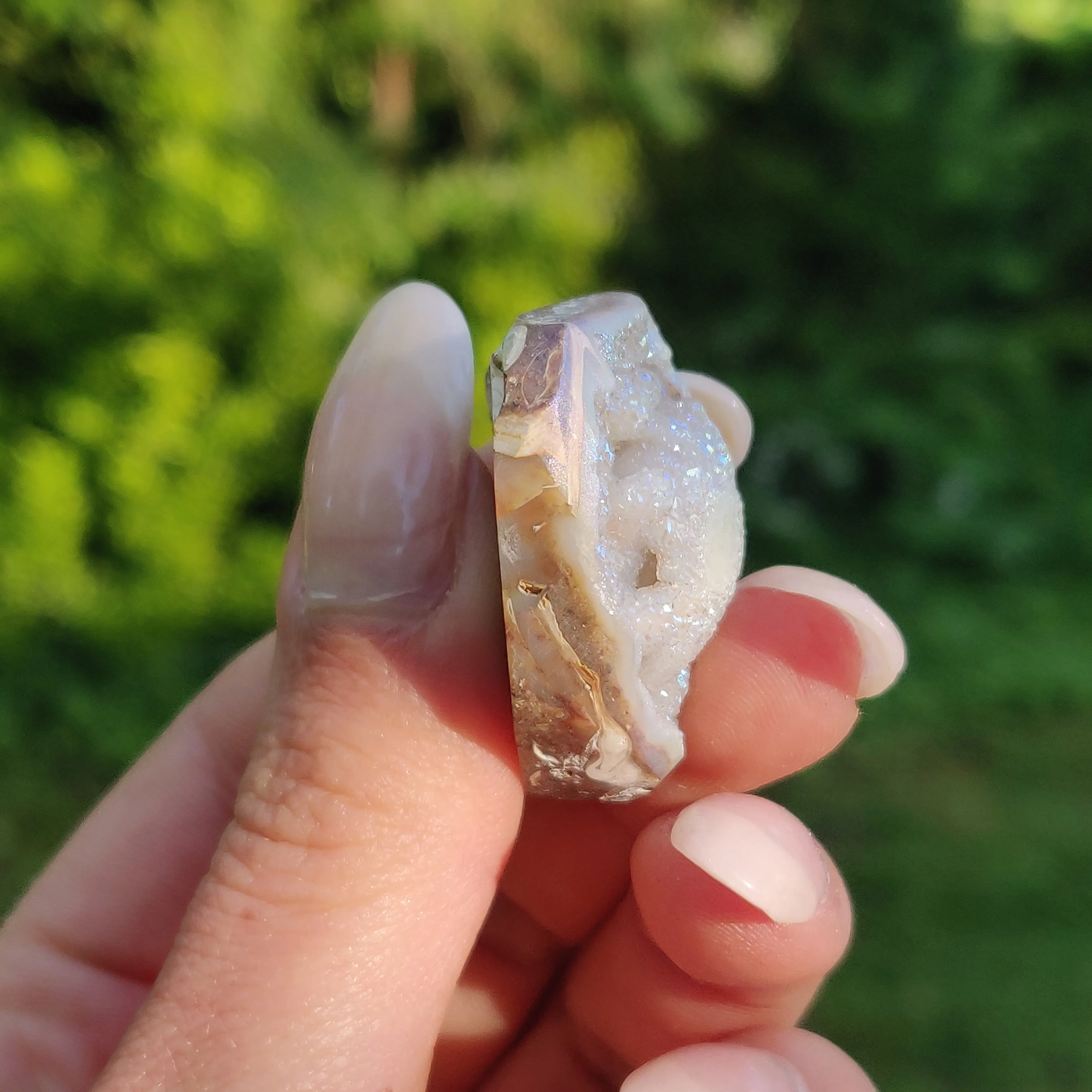 Aura Druzy Shell (#15)