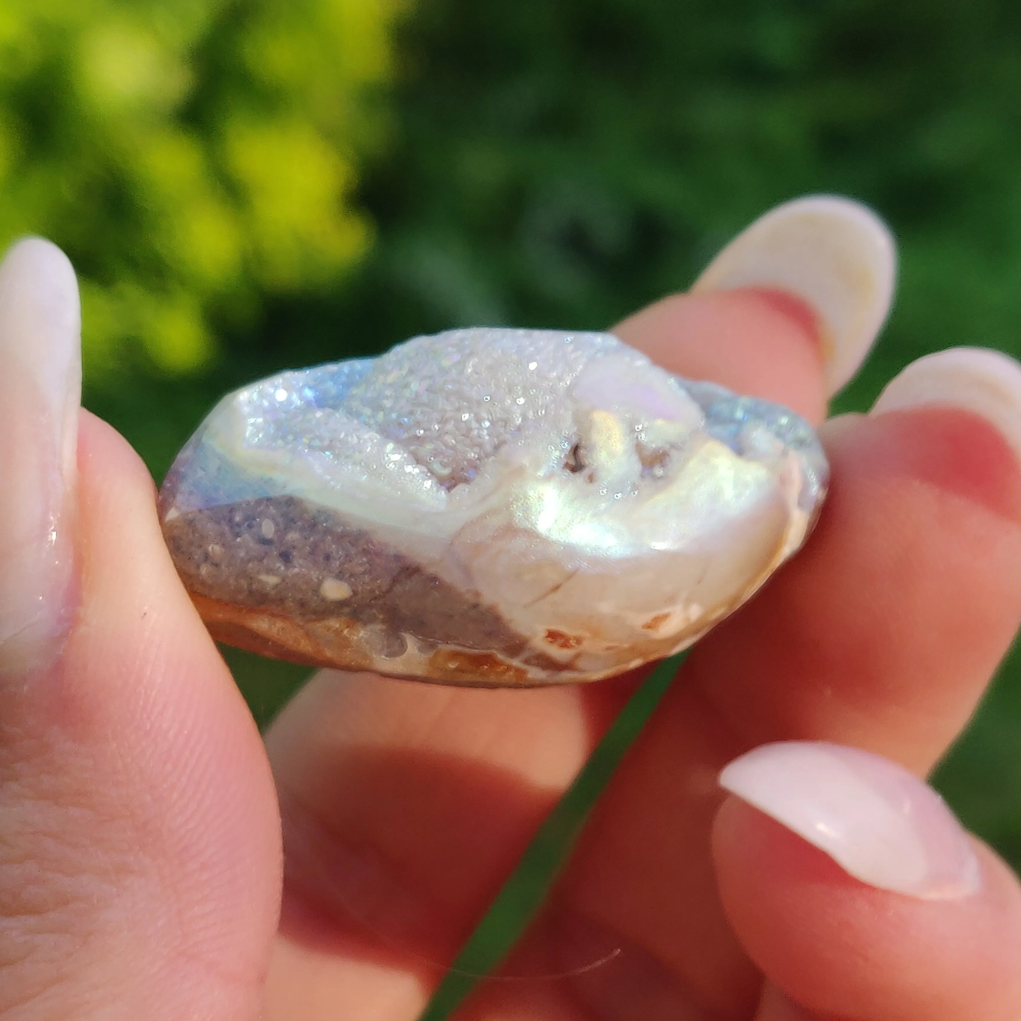 Aura Druzy Shell (#15)