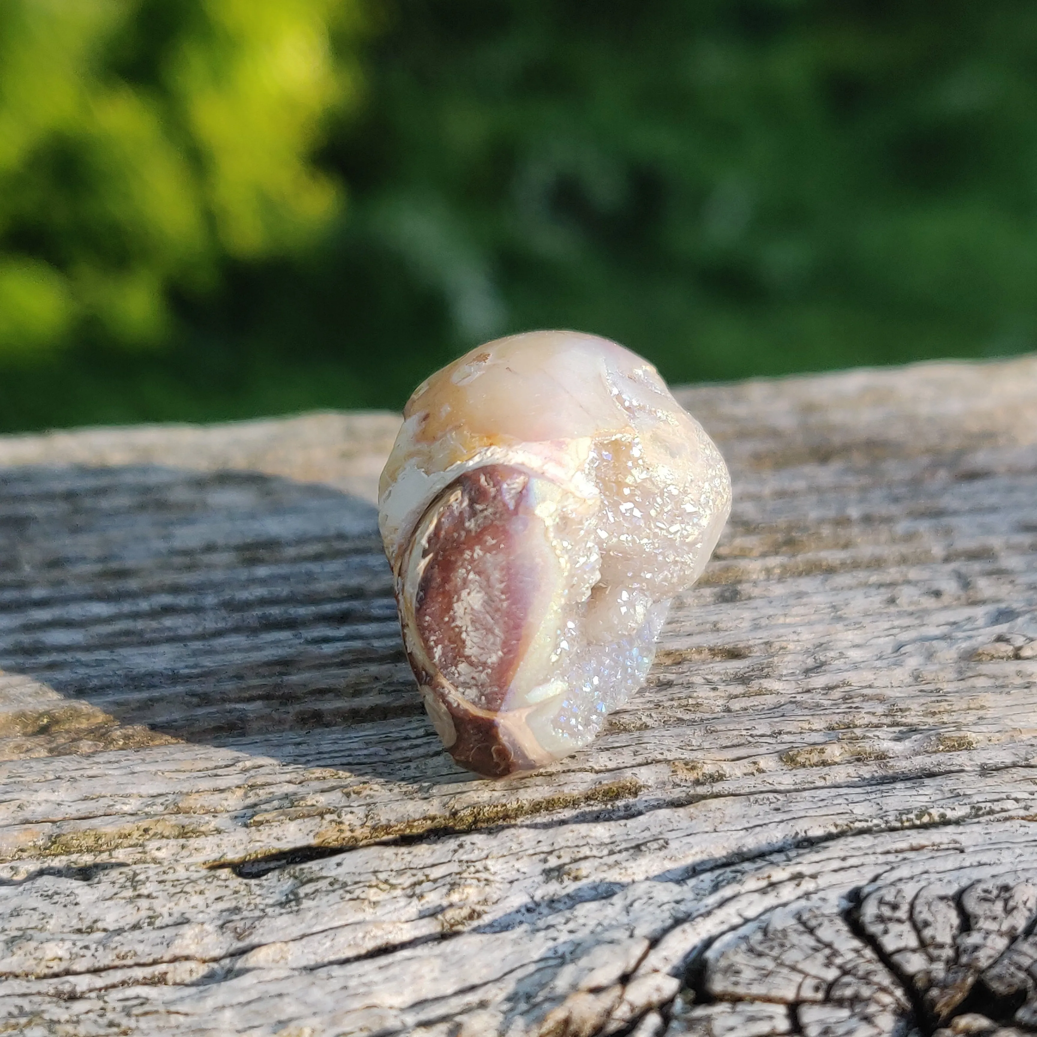 Aura Druzy Shell (#15)
