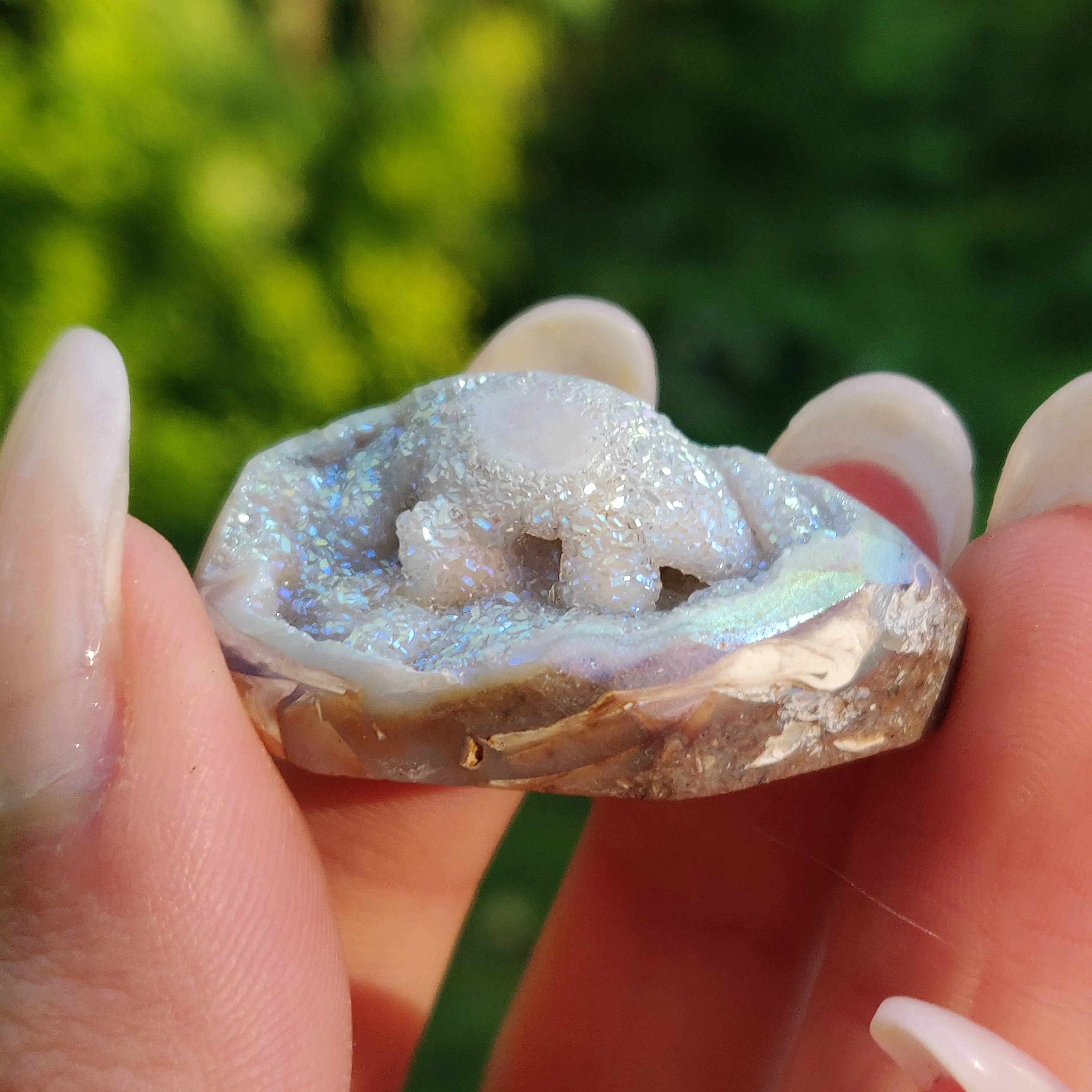 Aura Druzy Shell (#15)