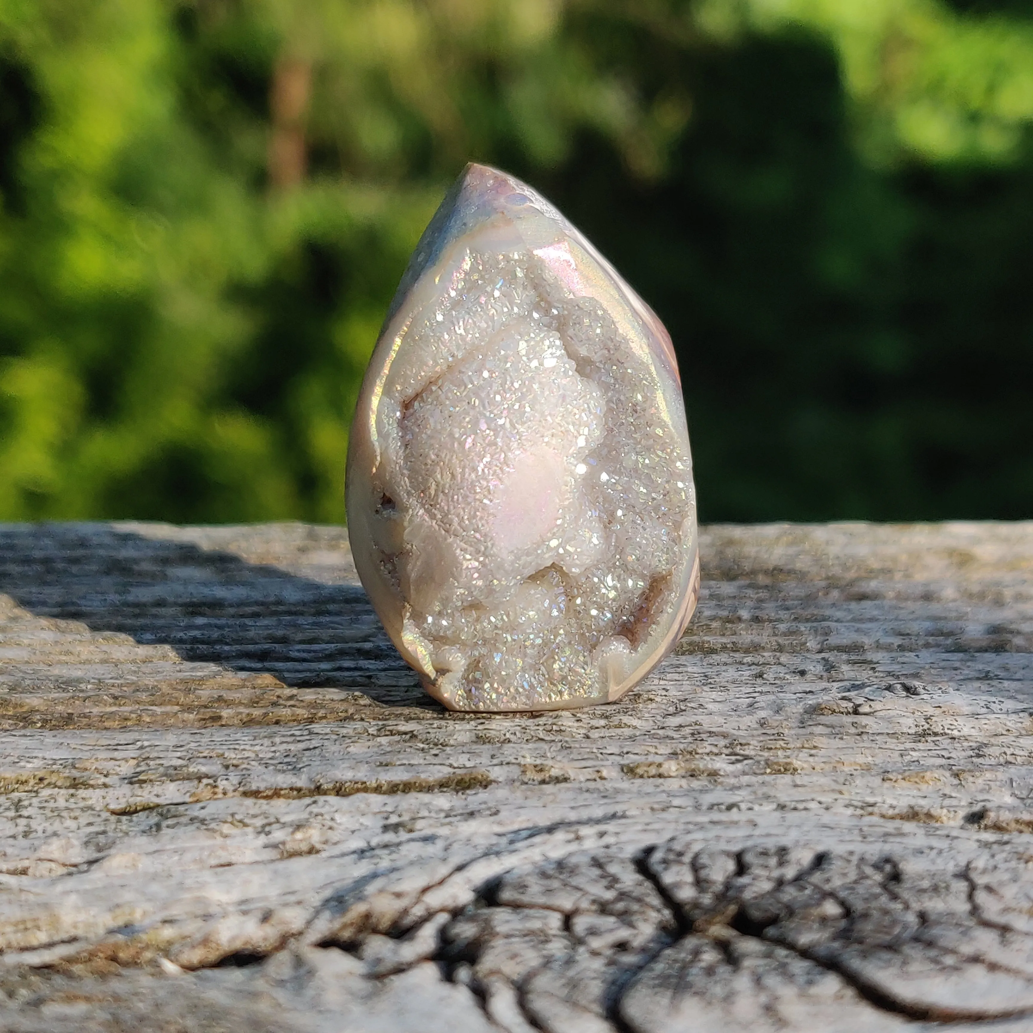 Aura Druzy Shell (#15)