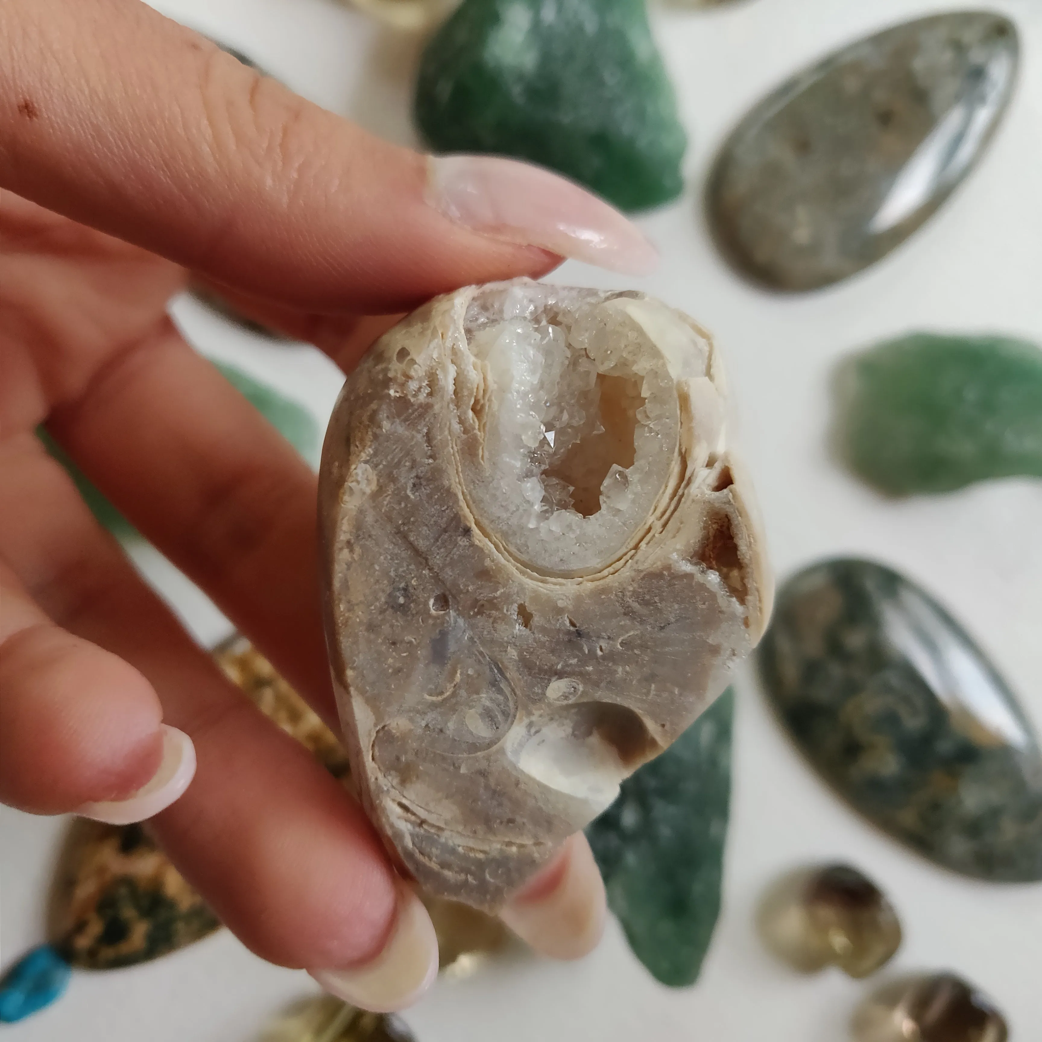 Aura Druzy Shell (#16)