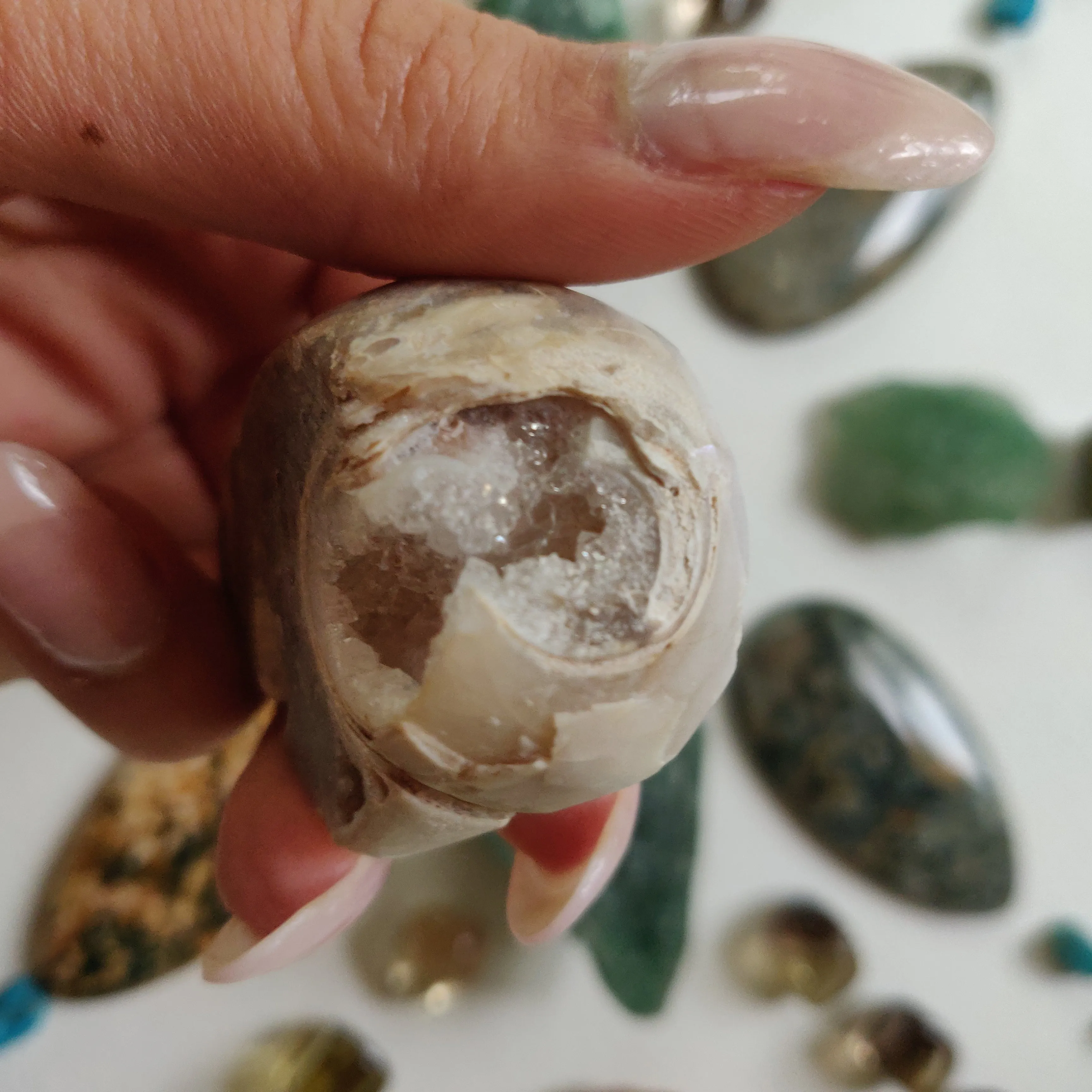 Aura Druzy Shell (#16)