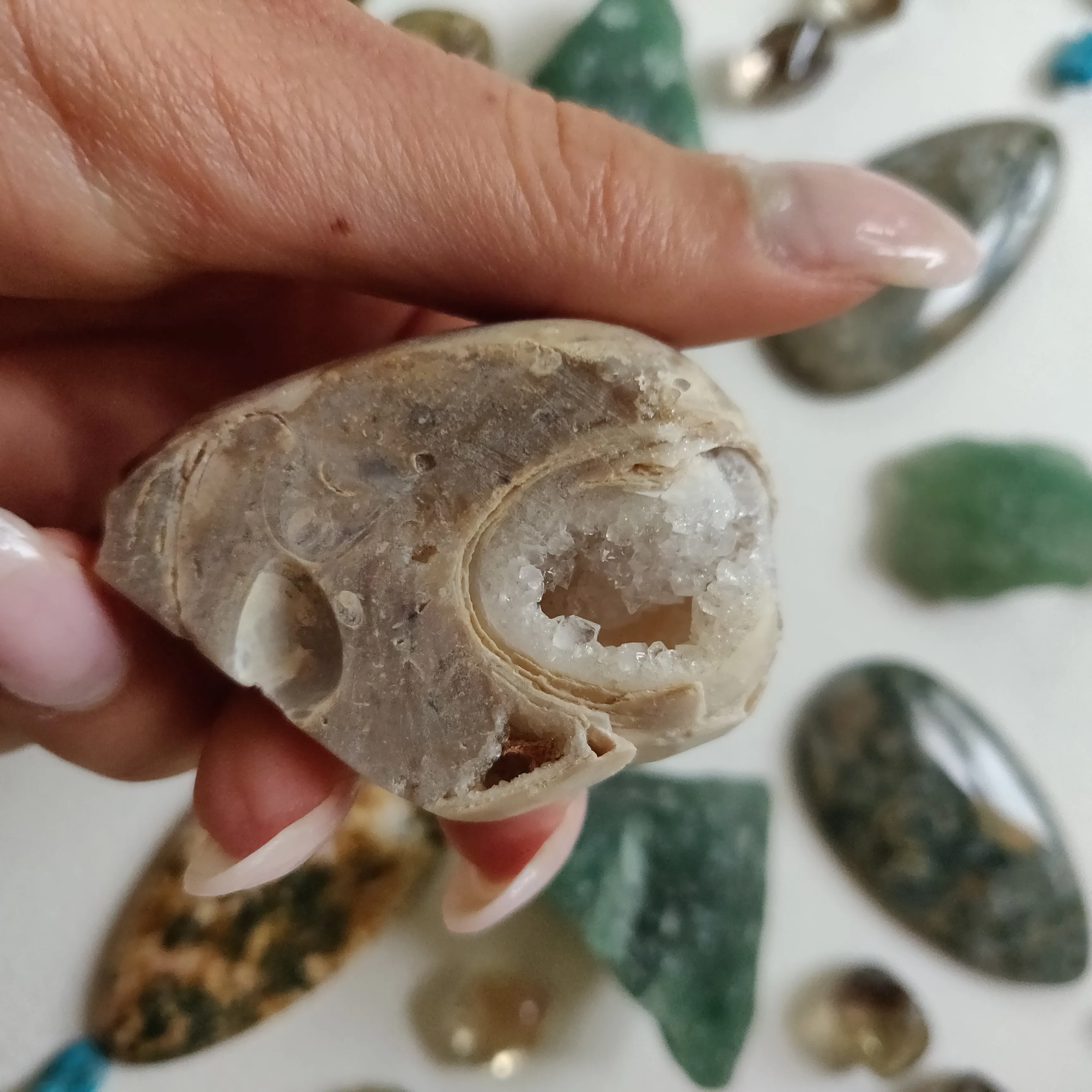 Aura Druzy Shell (#16)