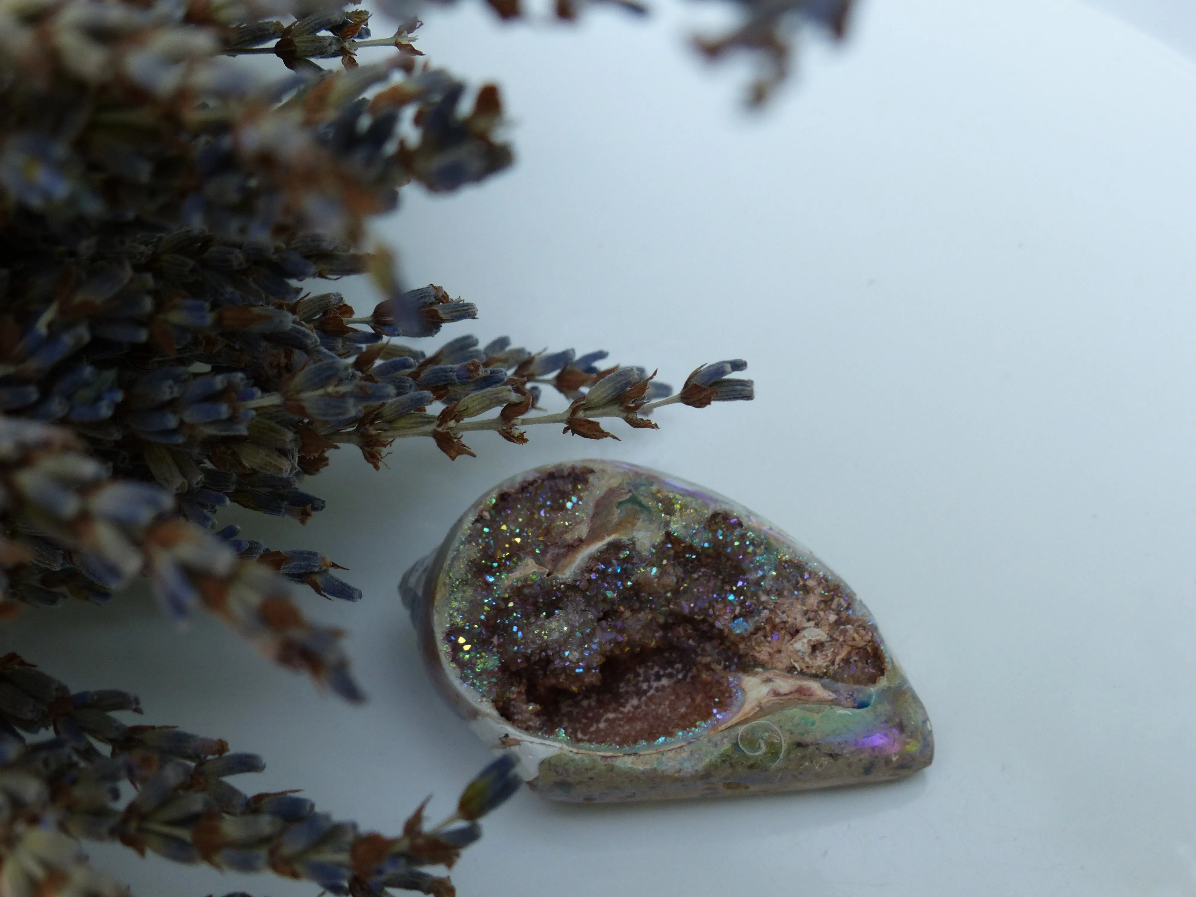 Aura Druzy Shell (#3)
