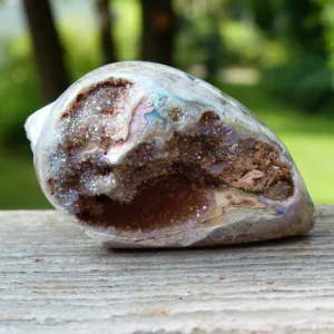 Aura Druzy Shell (#3)