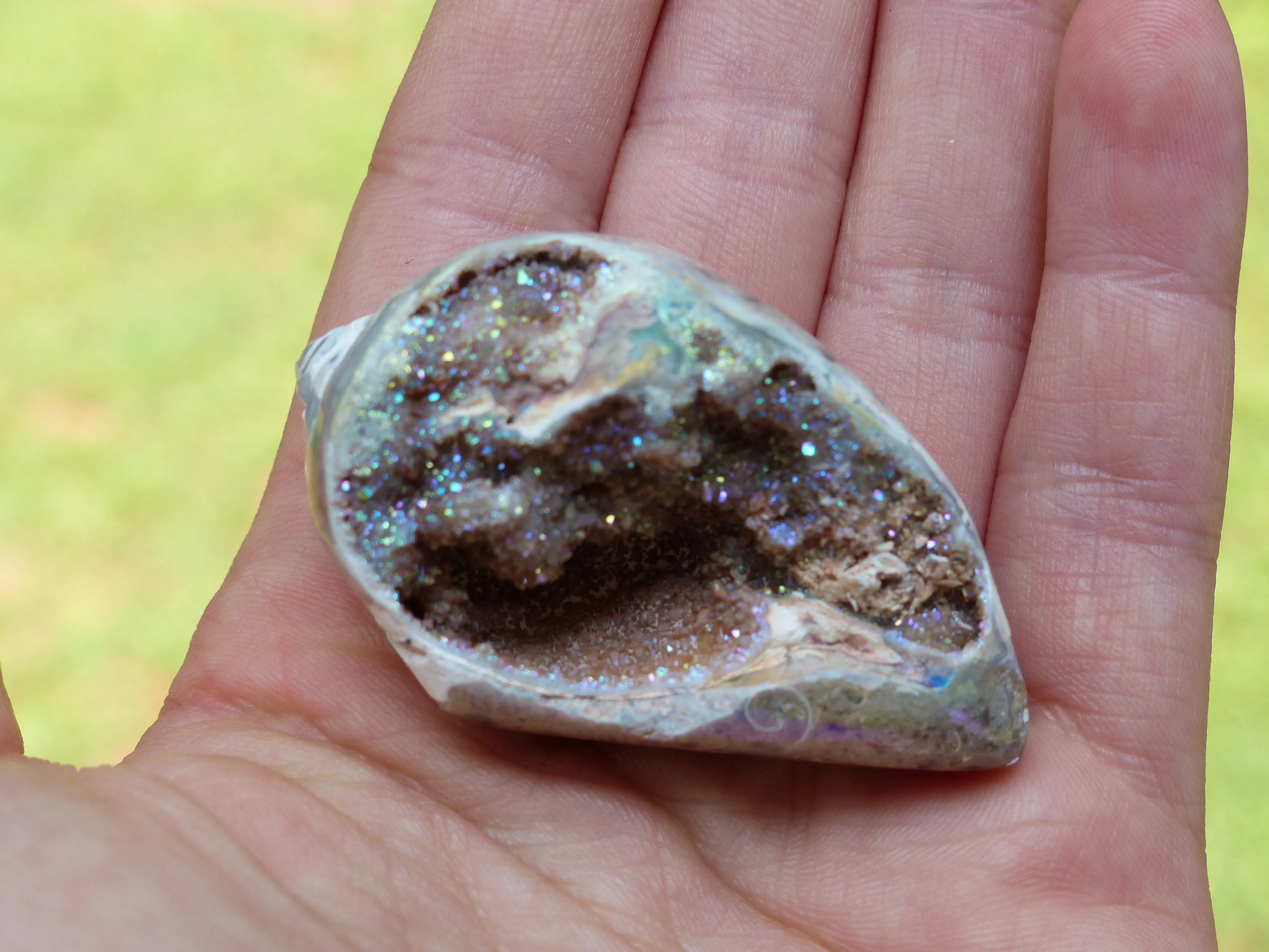 Aura Druzy Shell (#3)