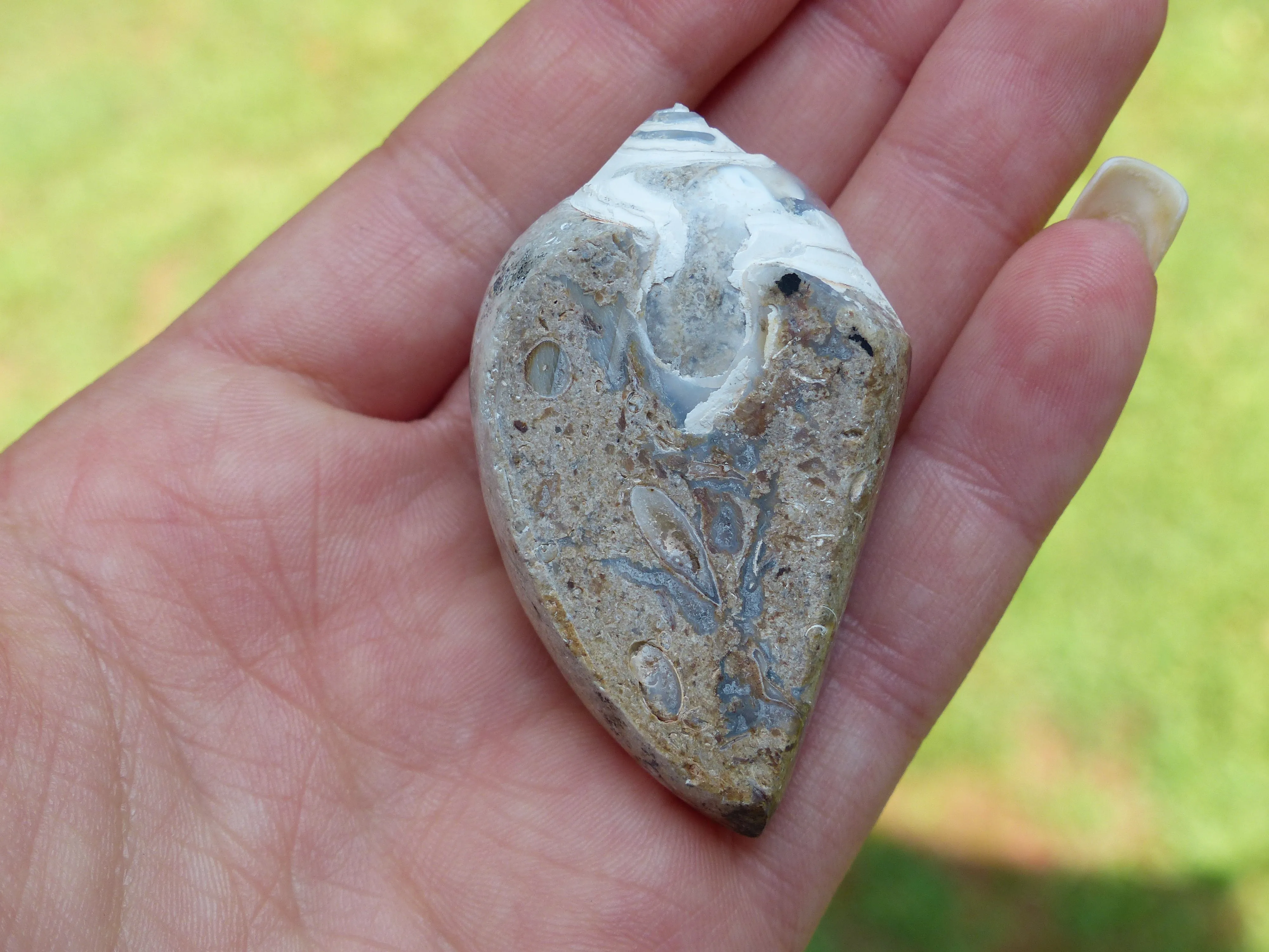 Aura Druzy Shell (#3)