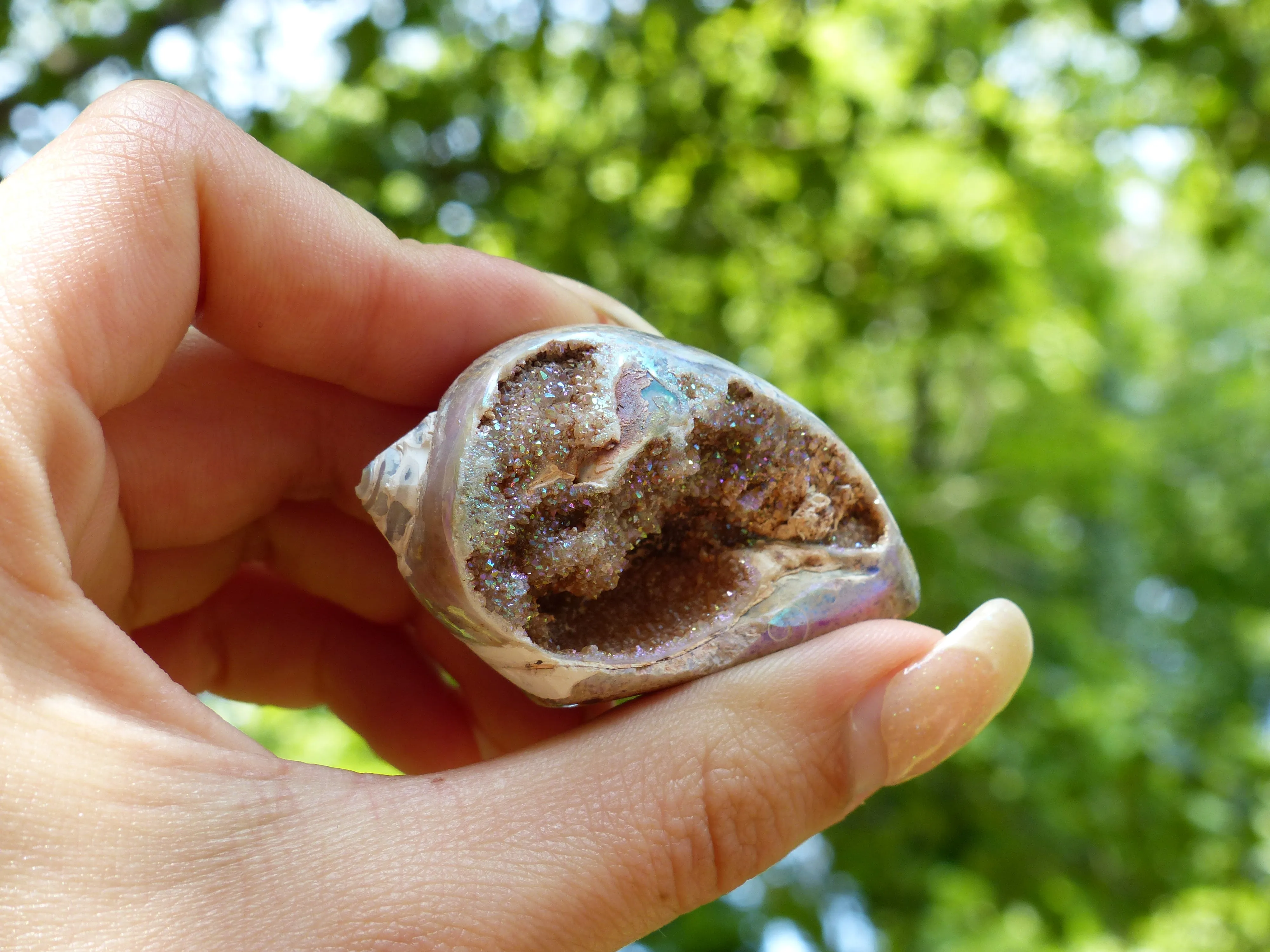 Aura Druzy Shell (#3)