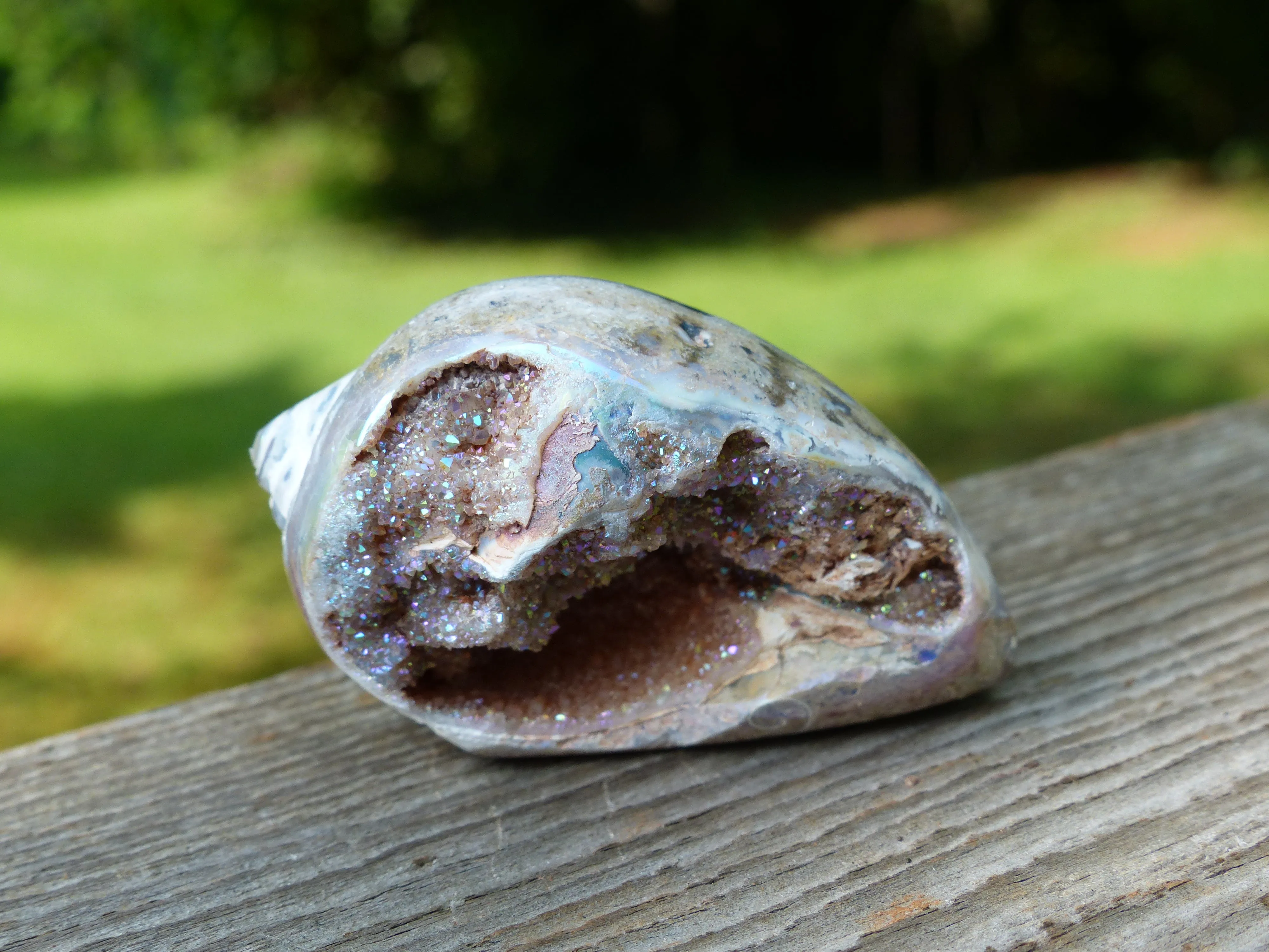 Aura Druzy Shell (#3)
