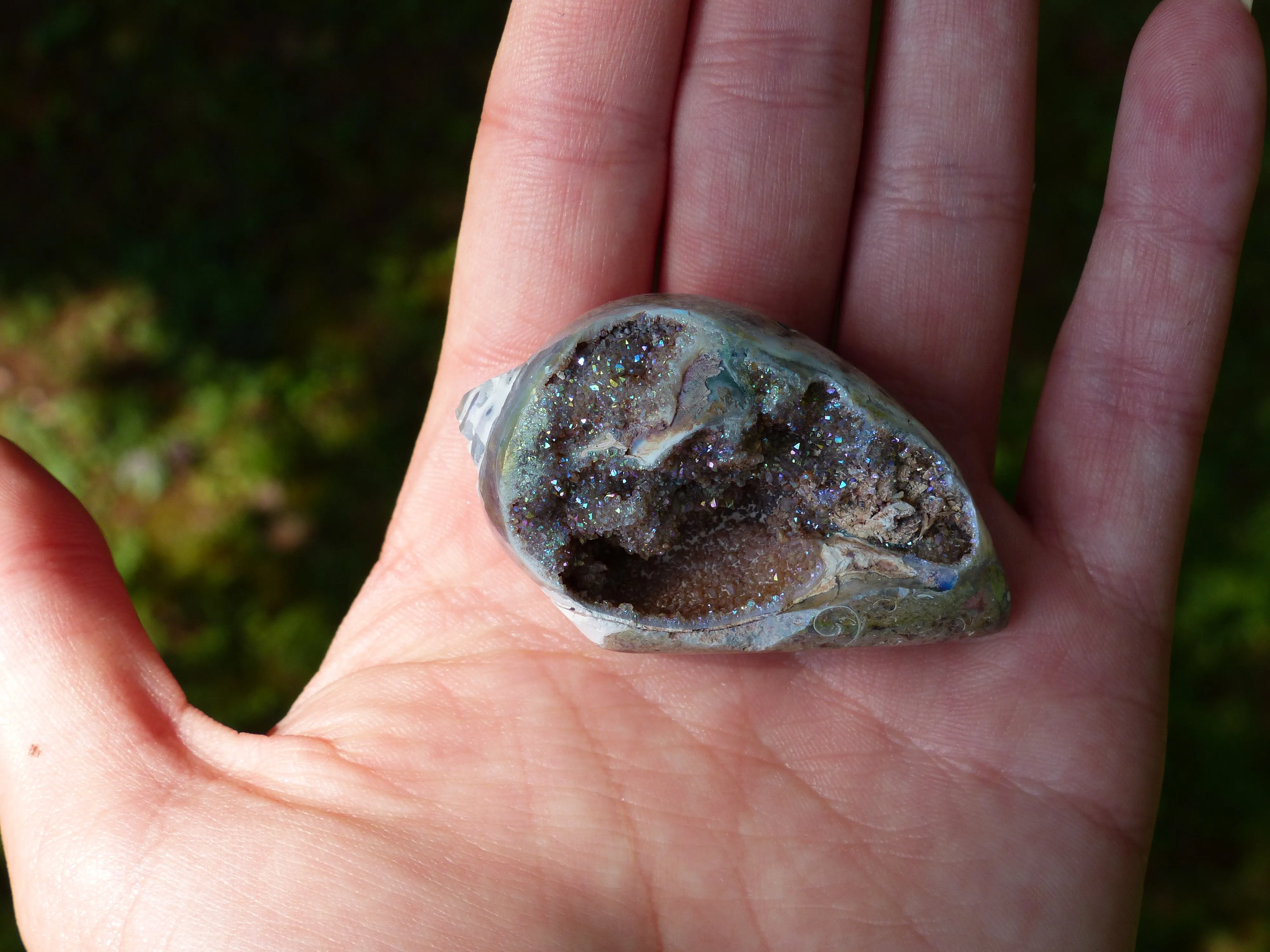 Aura Druzy Shell (#3)