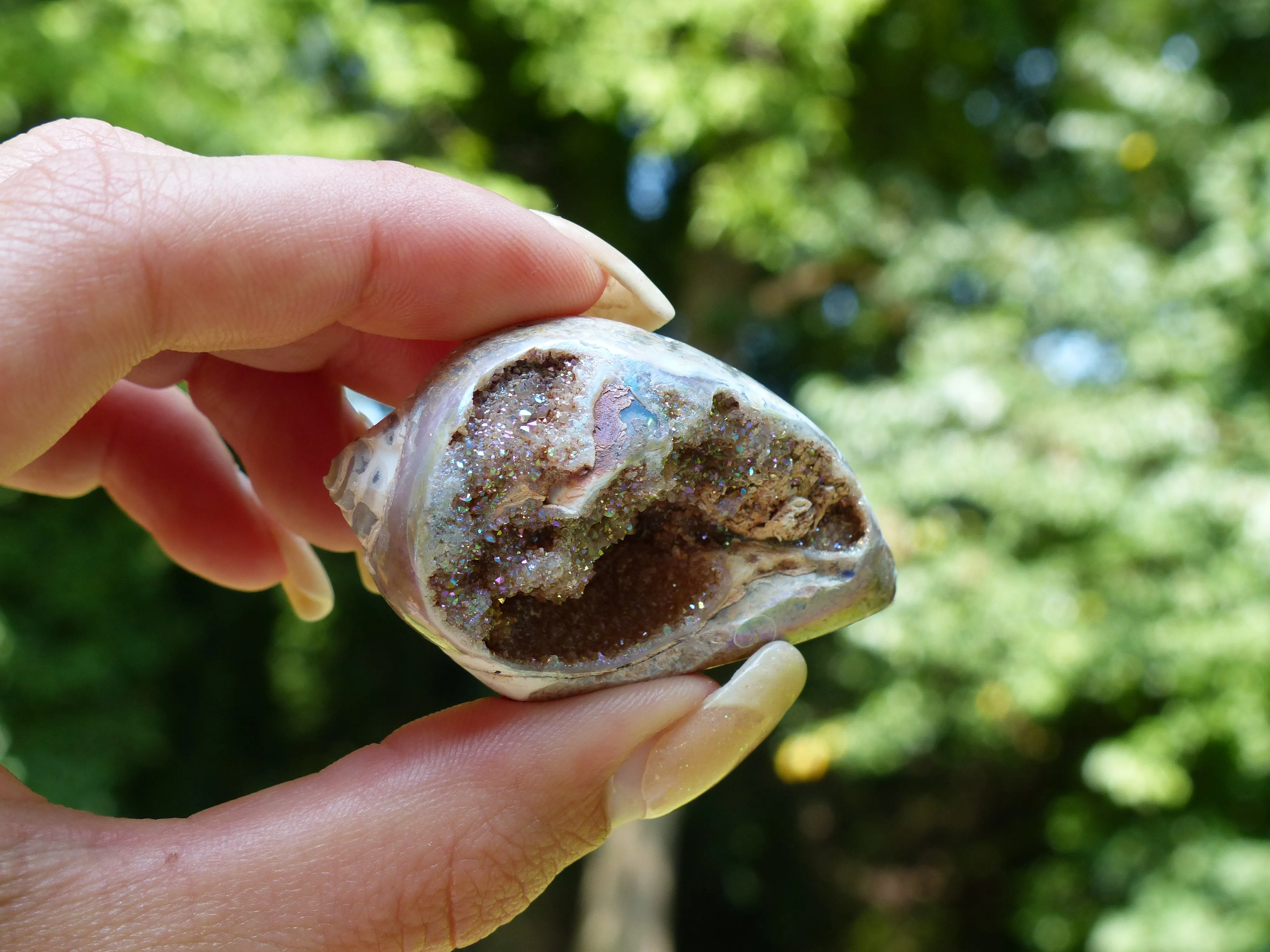 Aura Druzy Shell (#3)