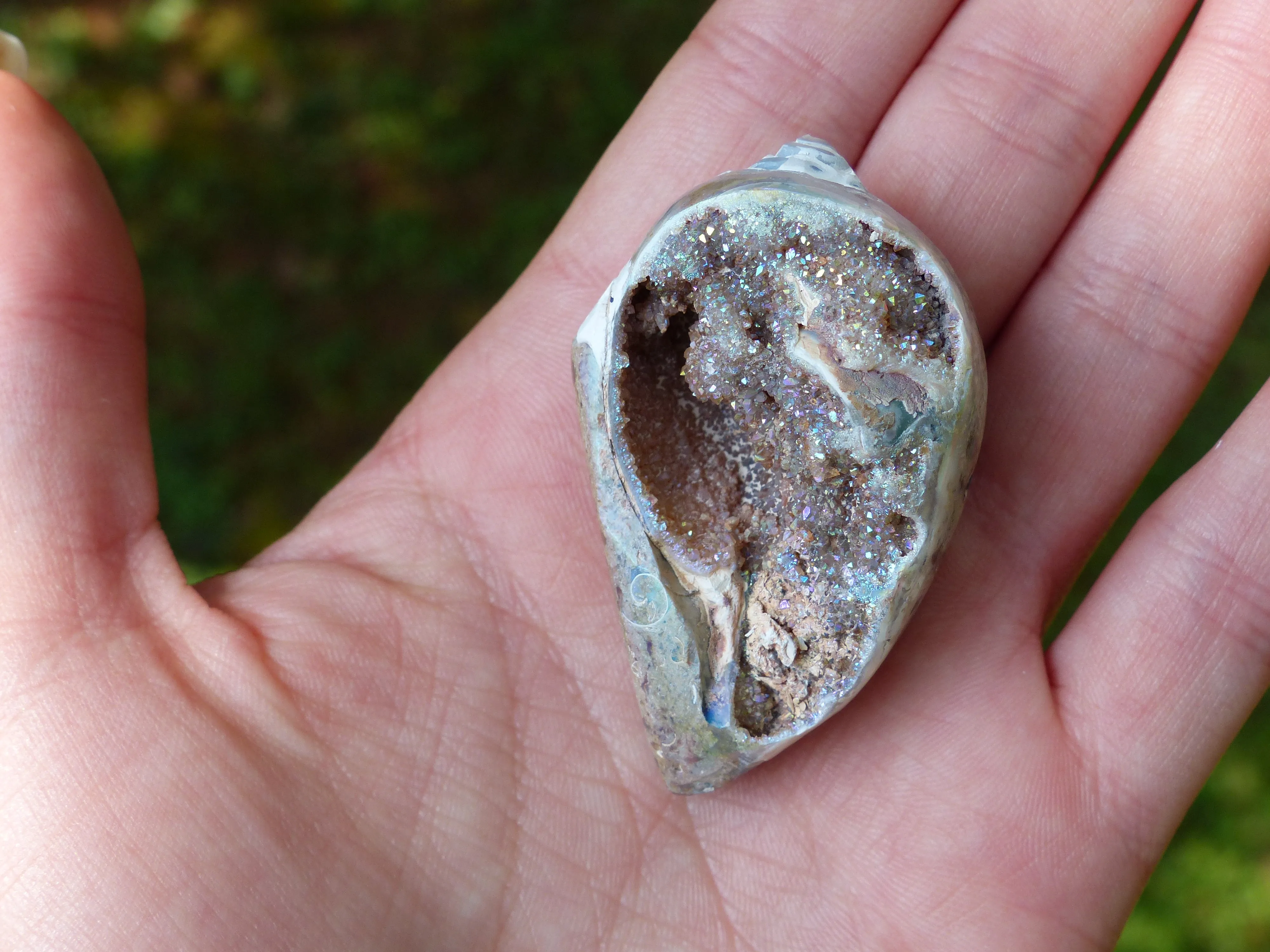 Aura Druzy Shell (#3)