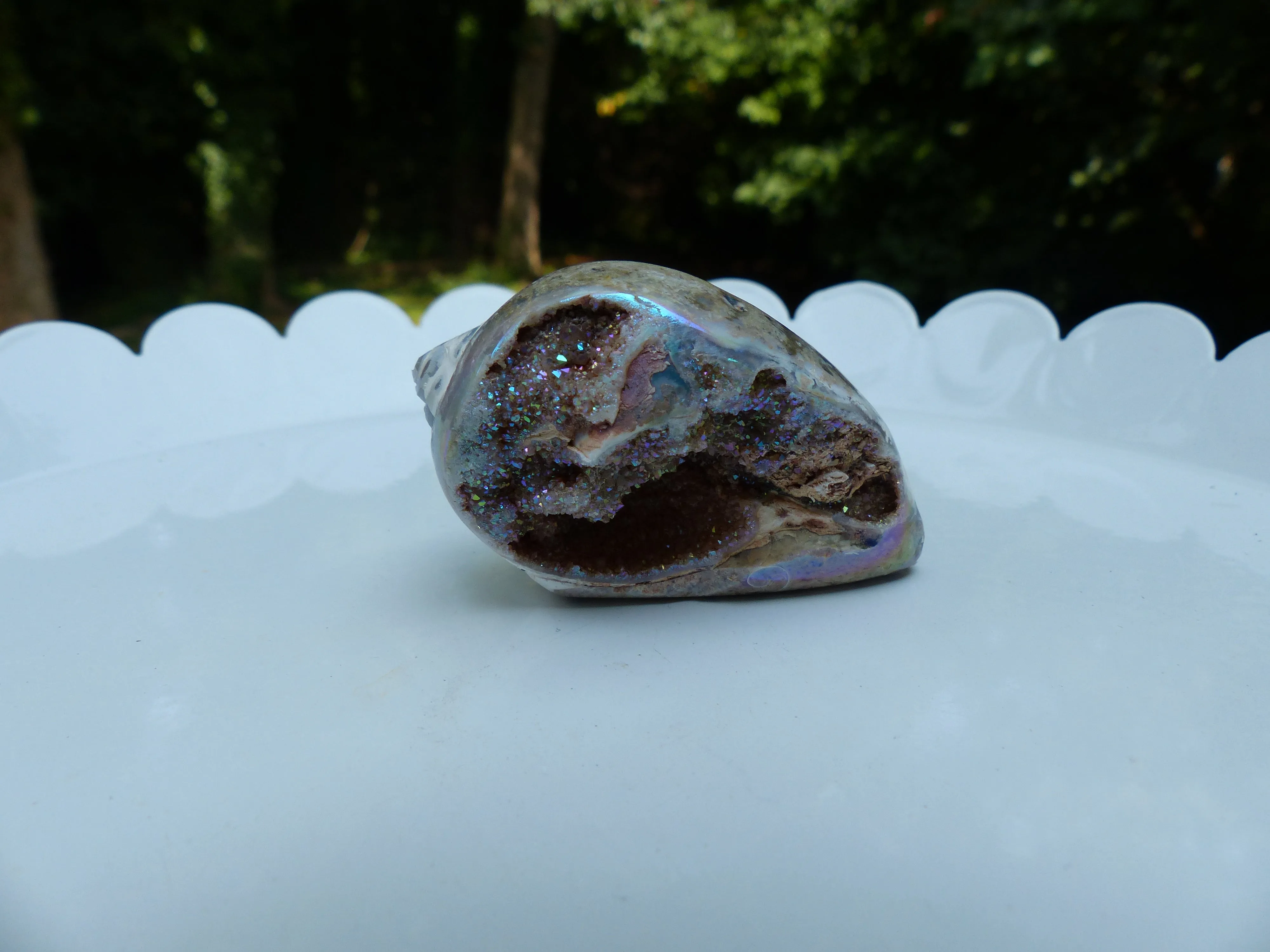 Aura Druzy Shell (#3)