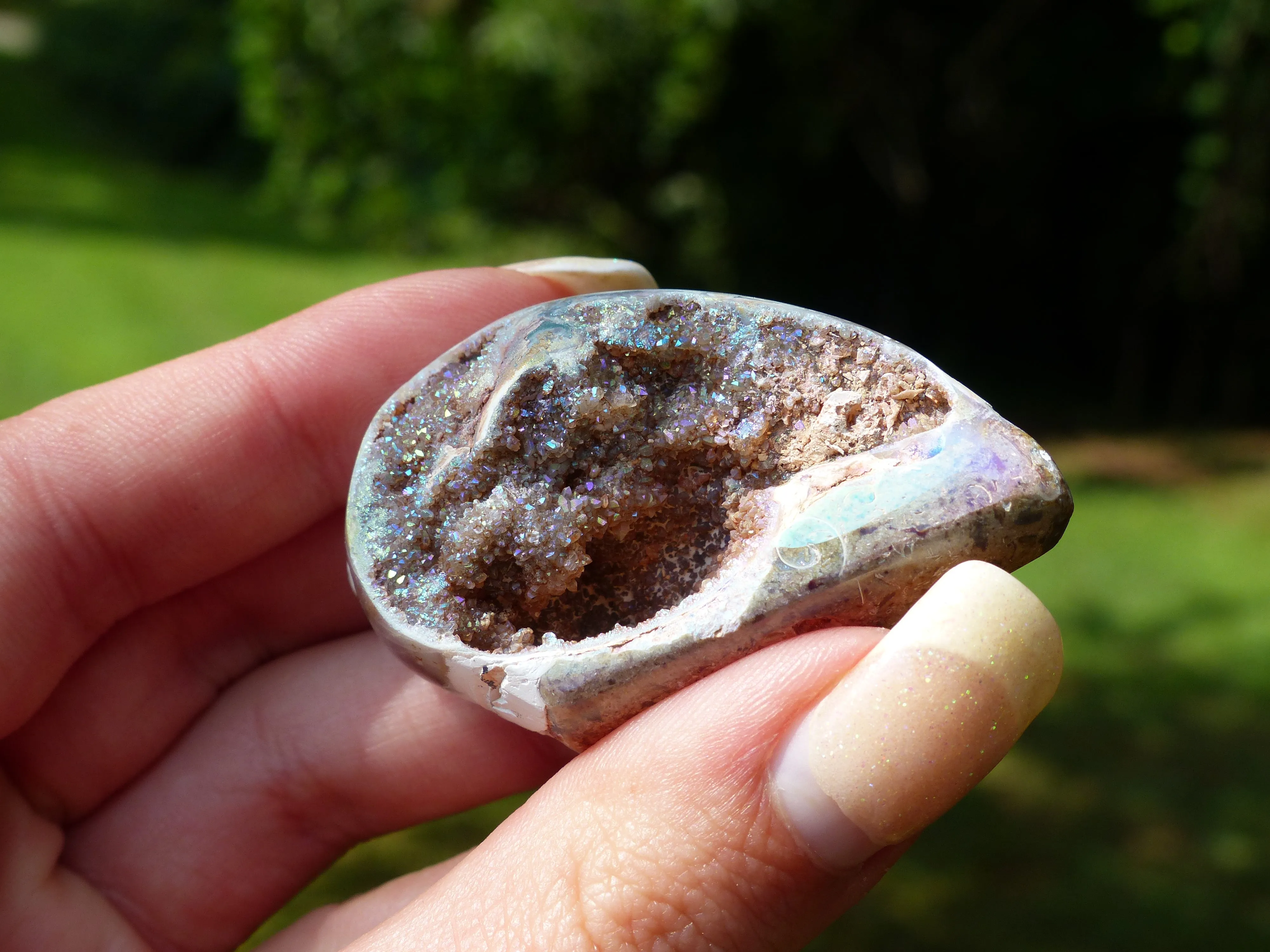 Aura Druzy Shell (#3)