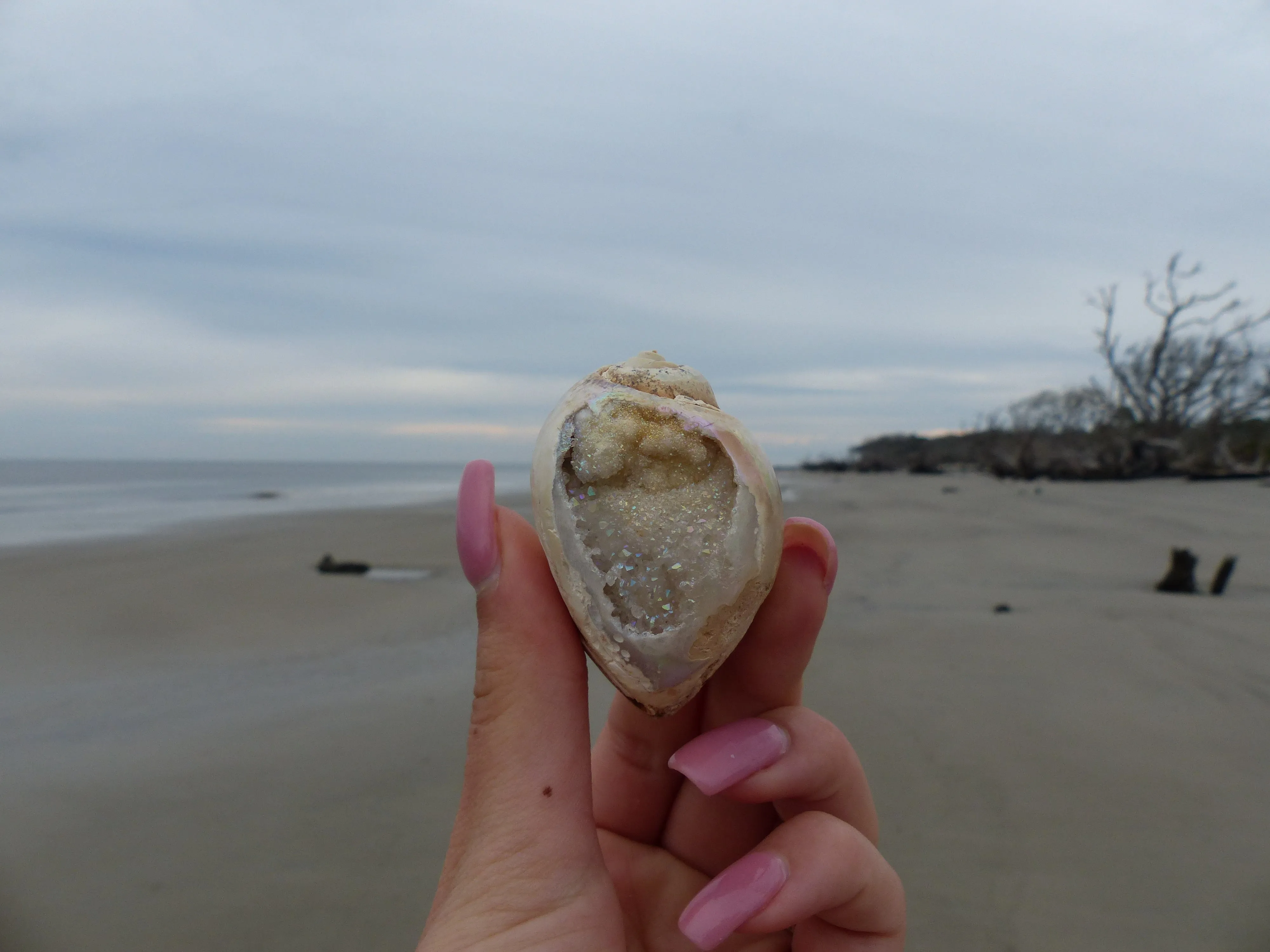 Aura Druzy Shell (#9)