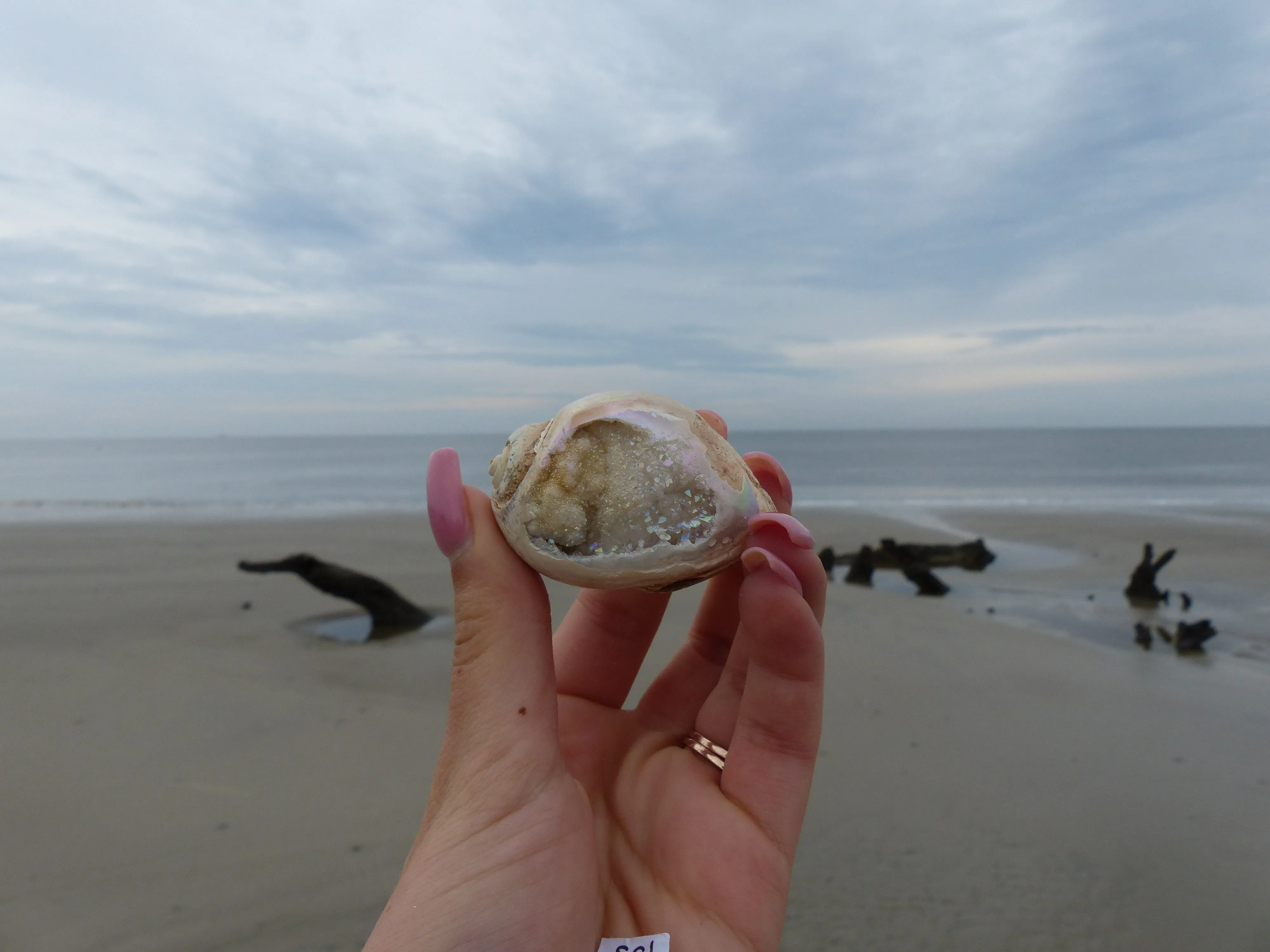 Aura Druzy Shell (#9)