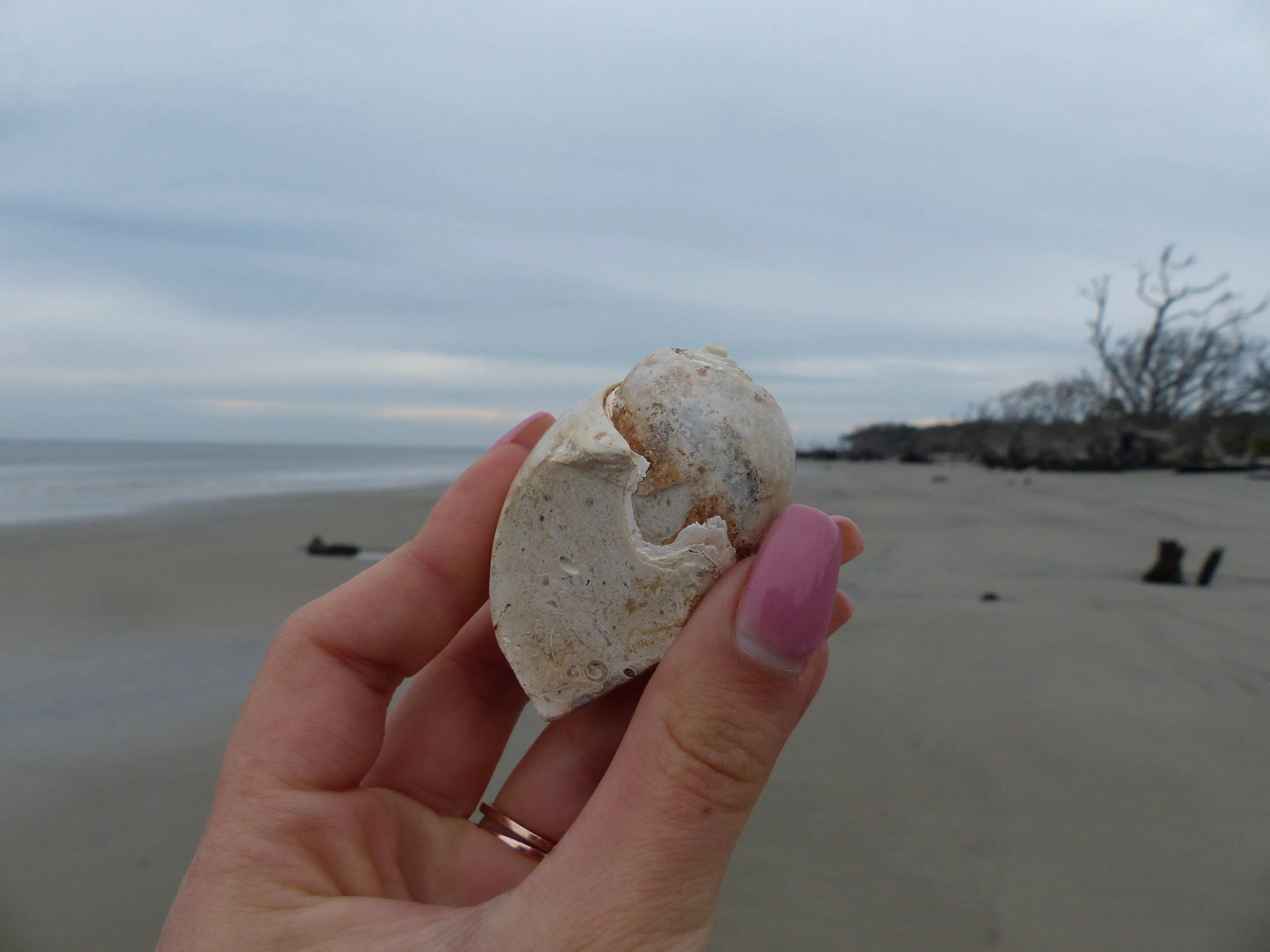 Aura Druzy Shell (#9)