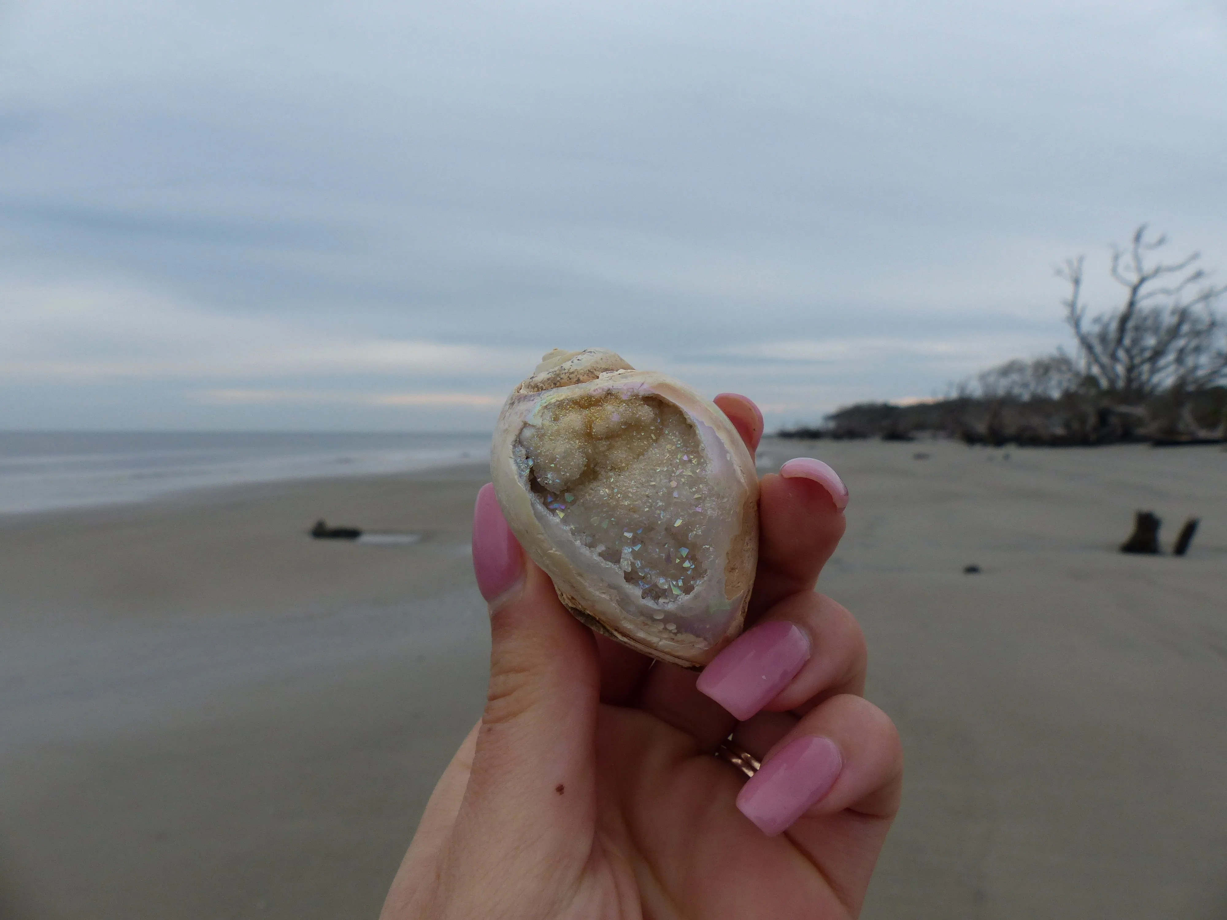 Aura Druzy Shell (#9)