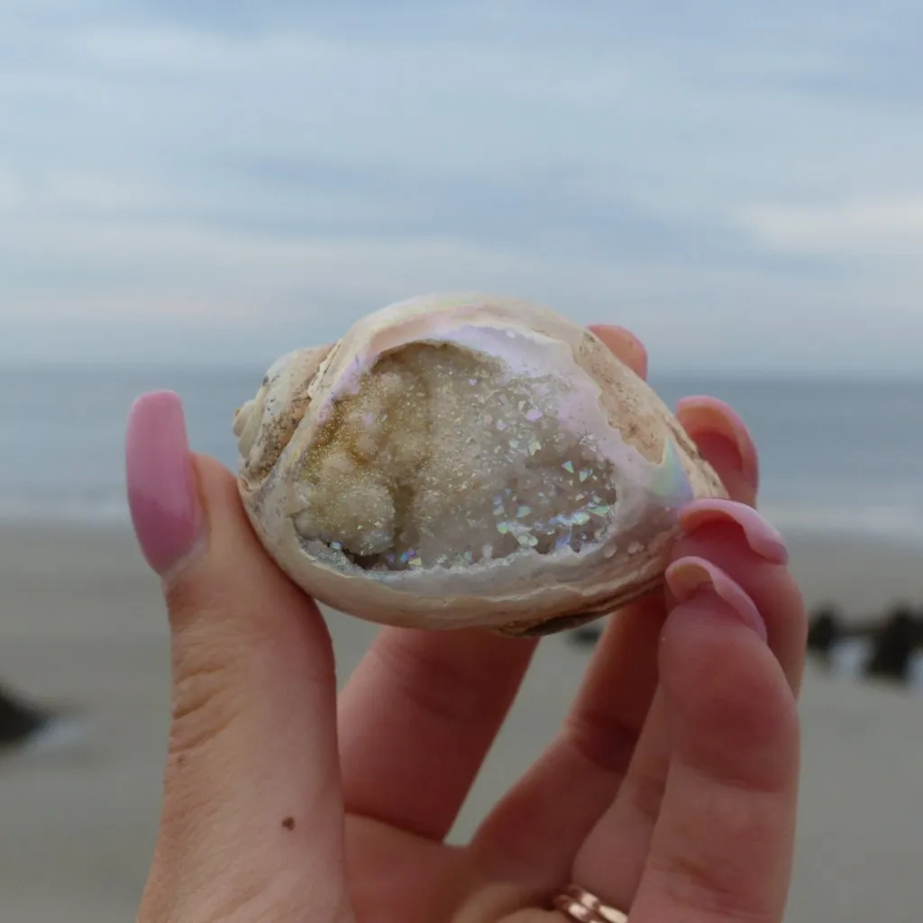 Aura Druzy Shell (#9)