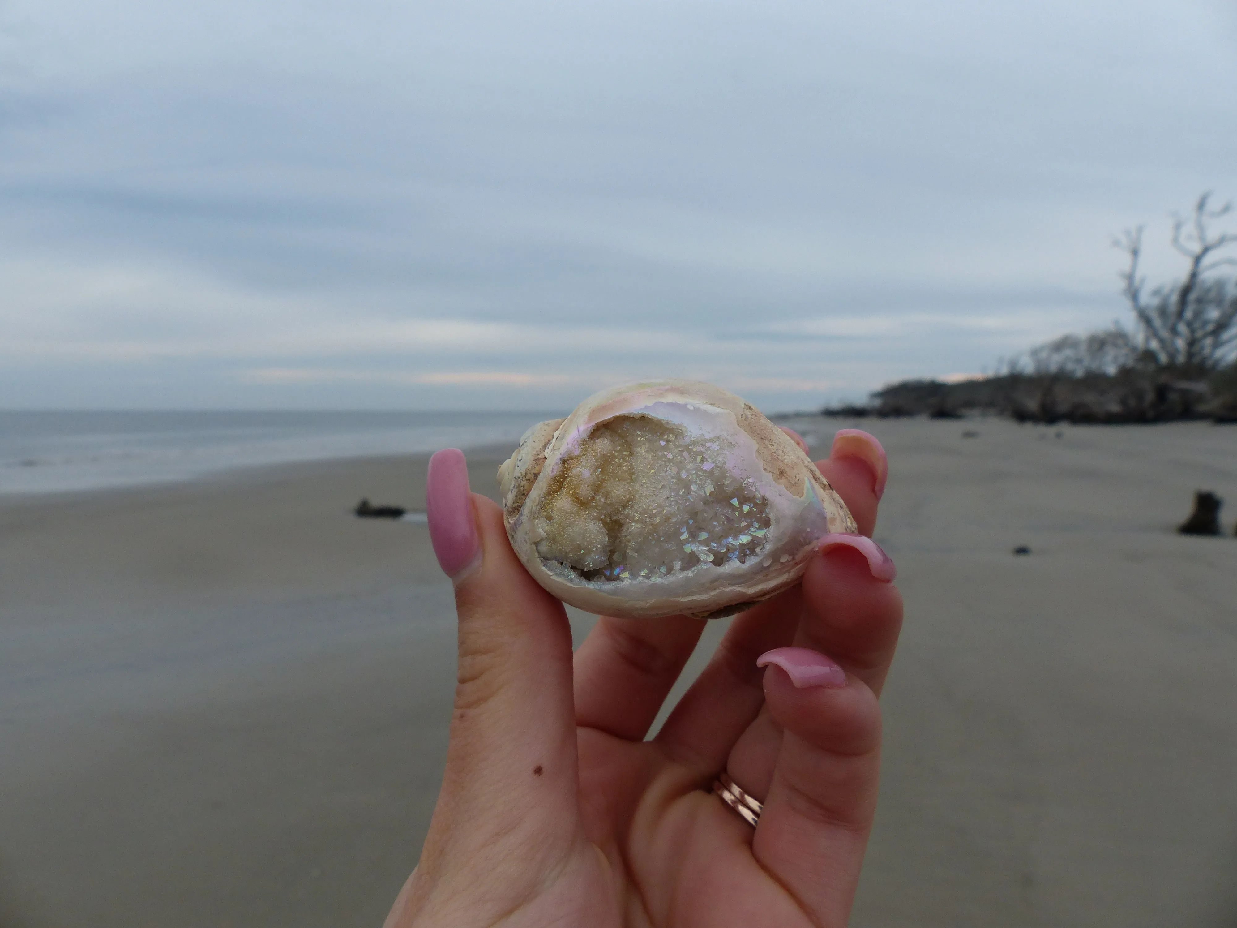 Aura Druzy Shell (#9)