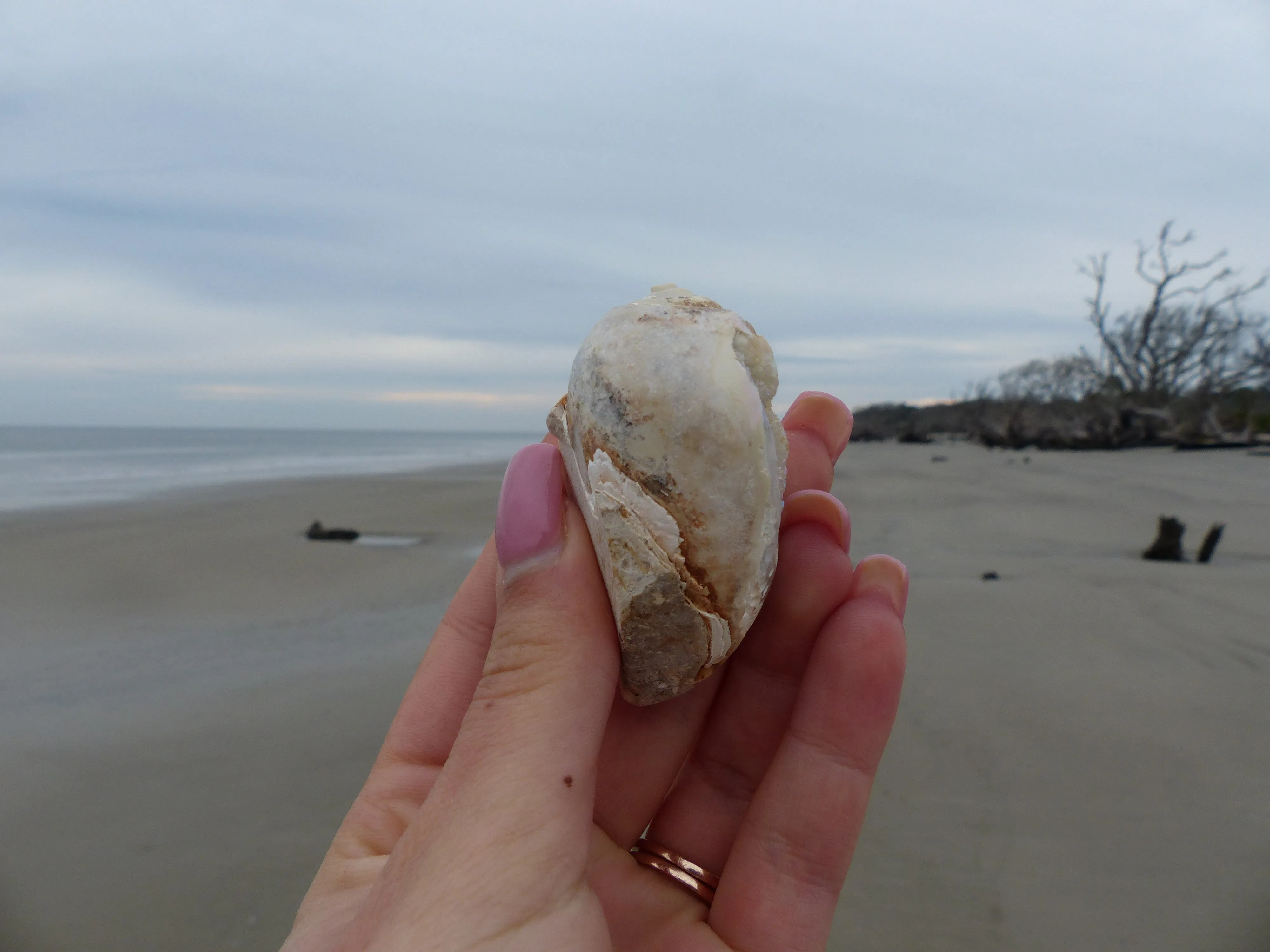 Aura Druzy Shell (#9)