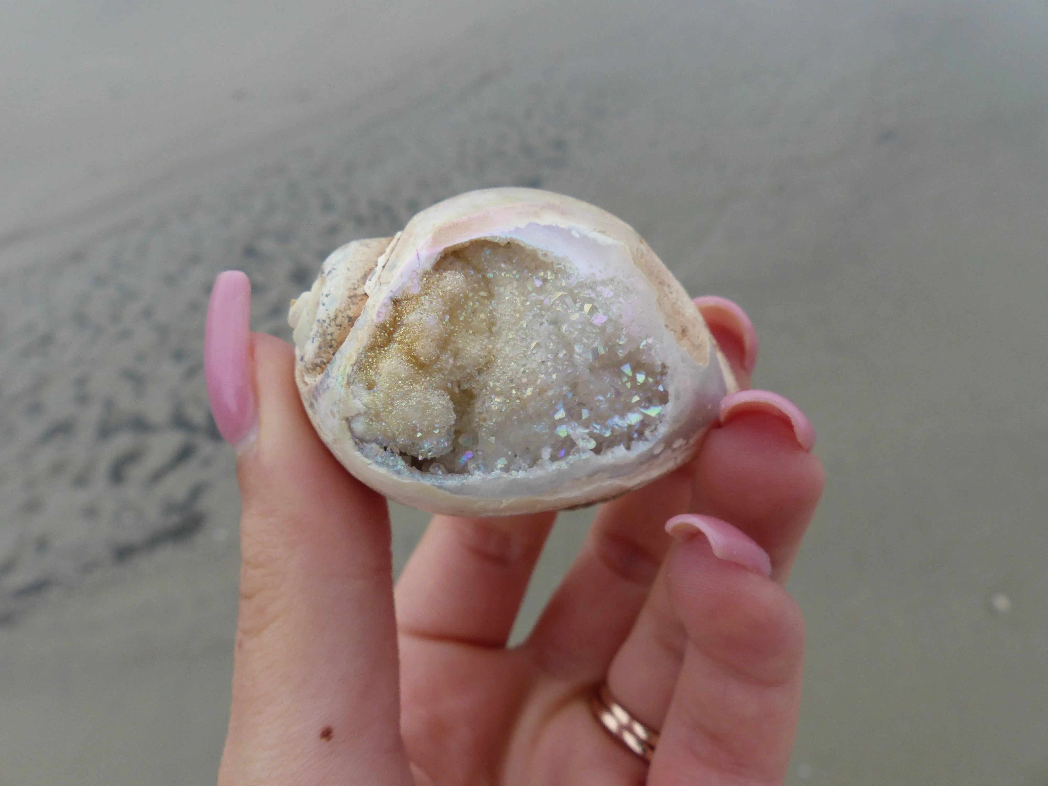 Aura Druzy Shell (#9)