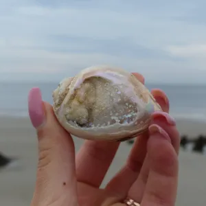 Aura Druzy Shell (#9)
