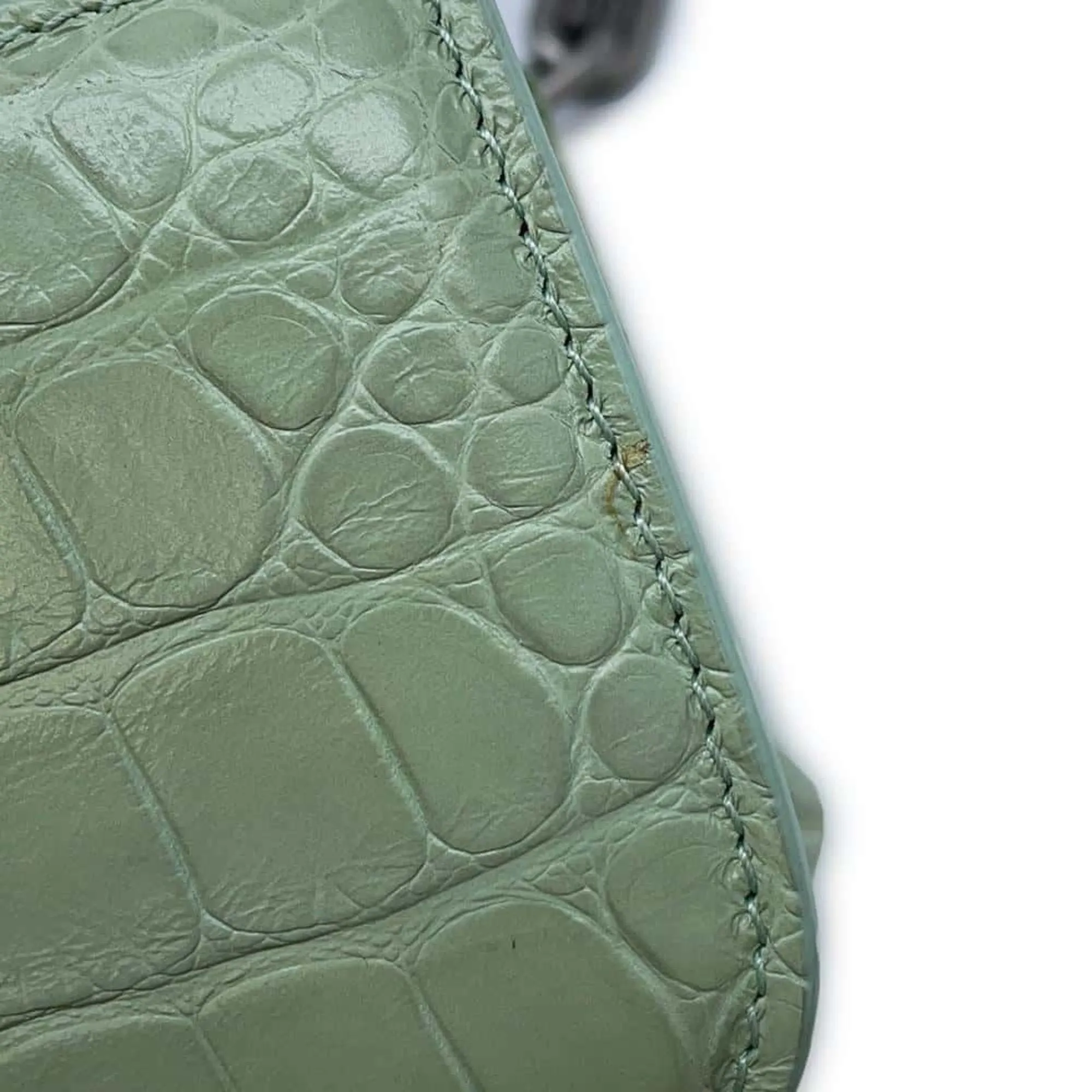 Balenciaga Green Exotic Leathers Bag