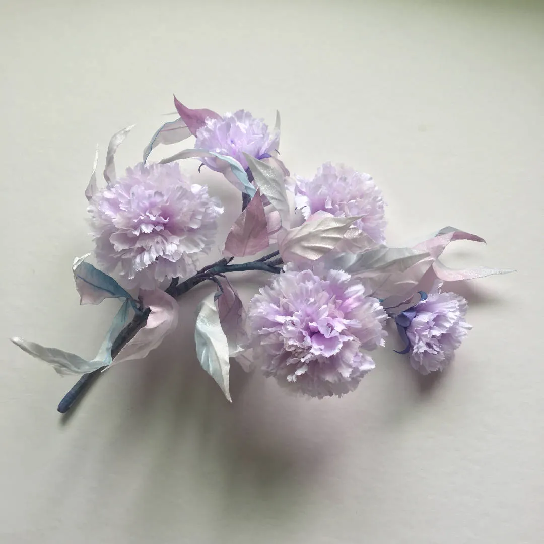 Beautiful Carnation- 1