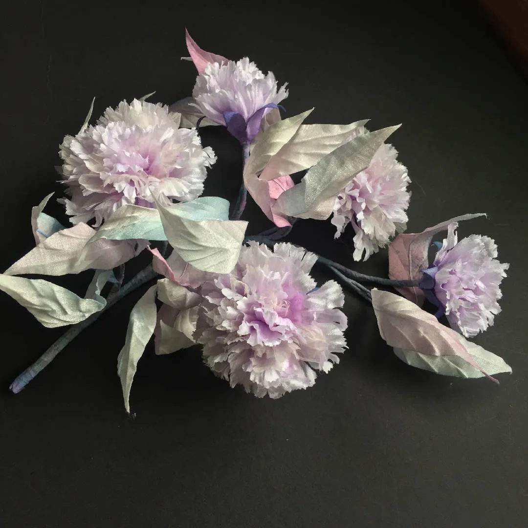 Beautiful Carnation- 1