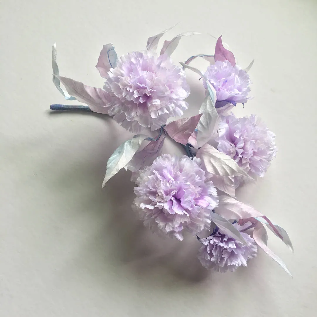 Beautiful Carnation- 1