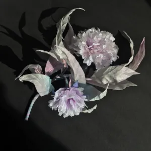 Beautiful Carnation- 2