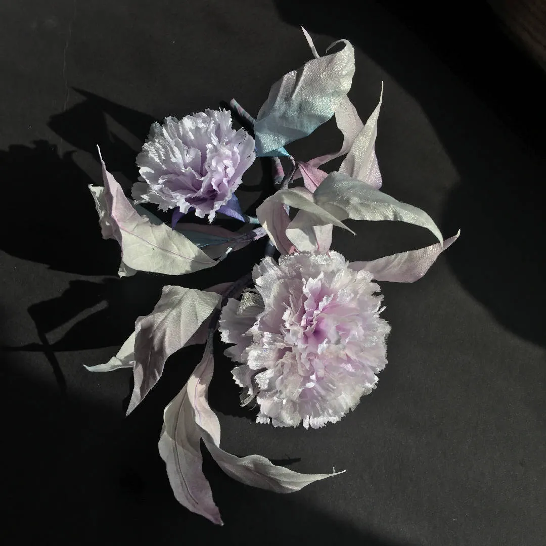 Beautiful Carnation- 2