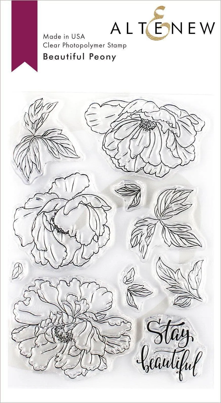 Beautiful Peony