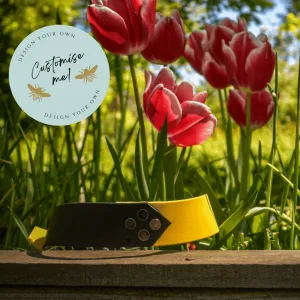Big & Beautiful - Custom Two Tone Dog Collars for big dogs