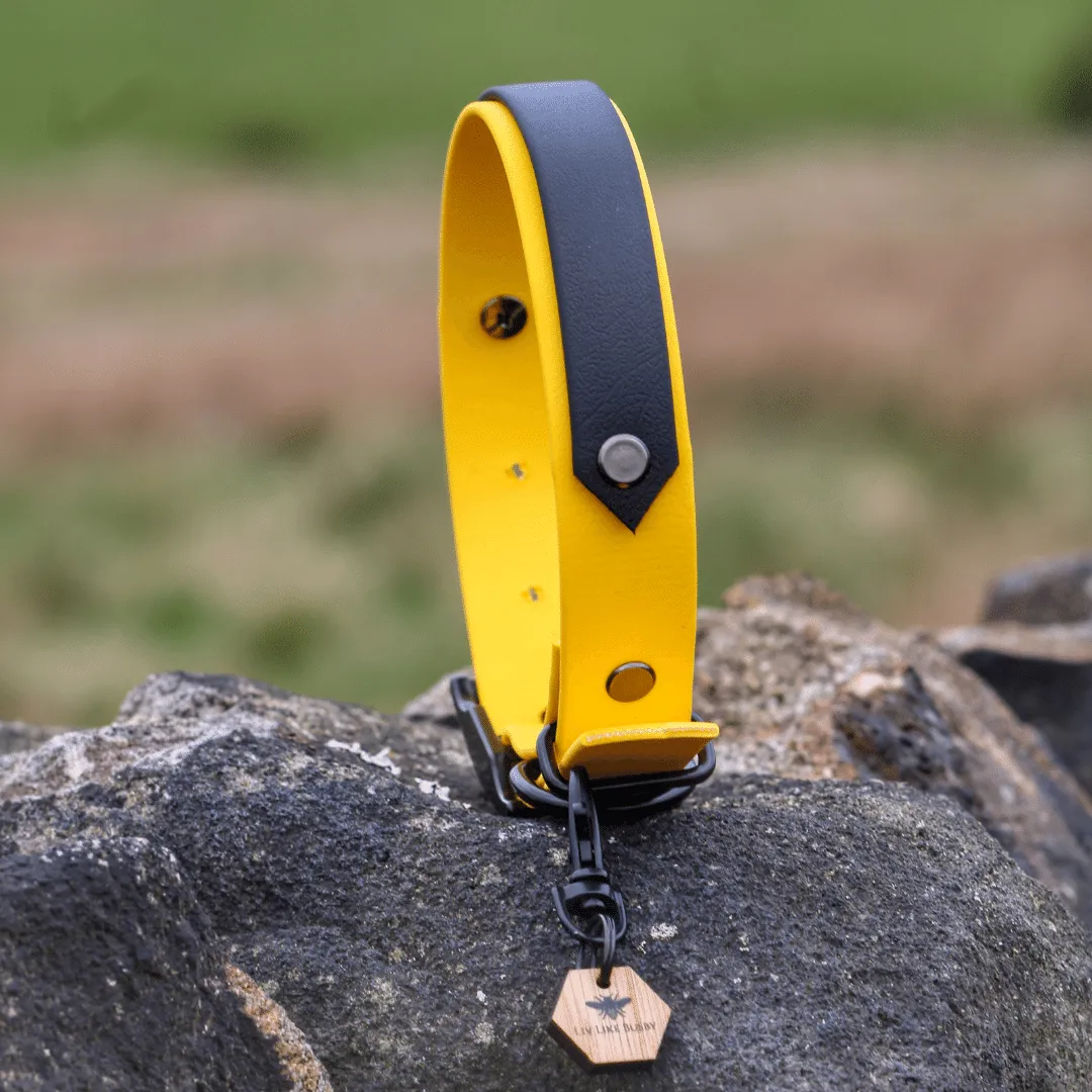 Big & Beautiful - Custom Two Tone Dog Collars for big dogs
